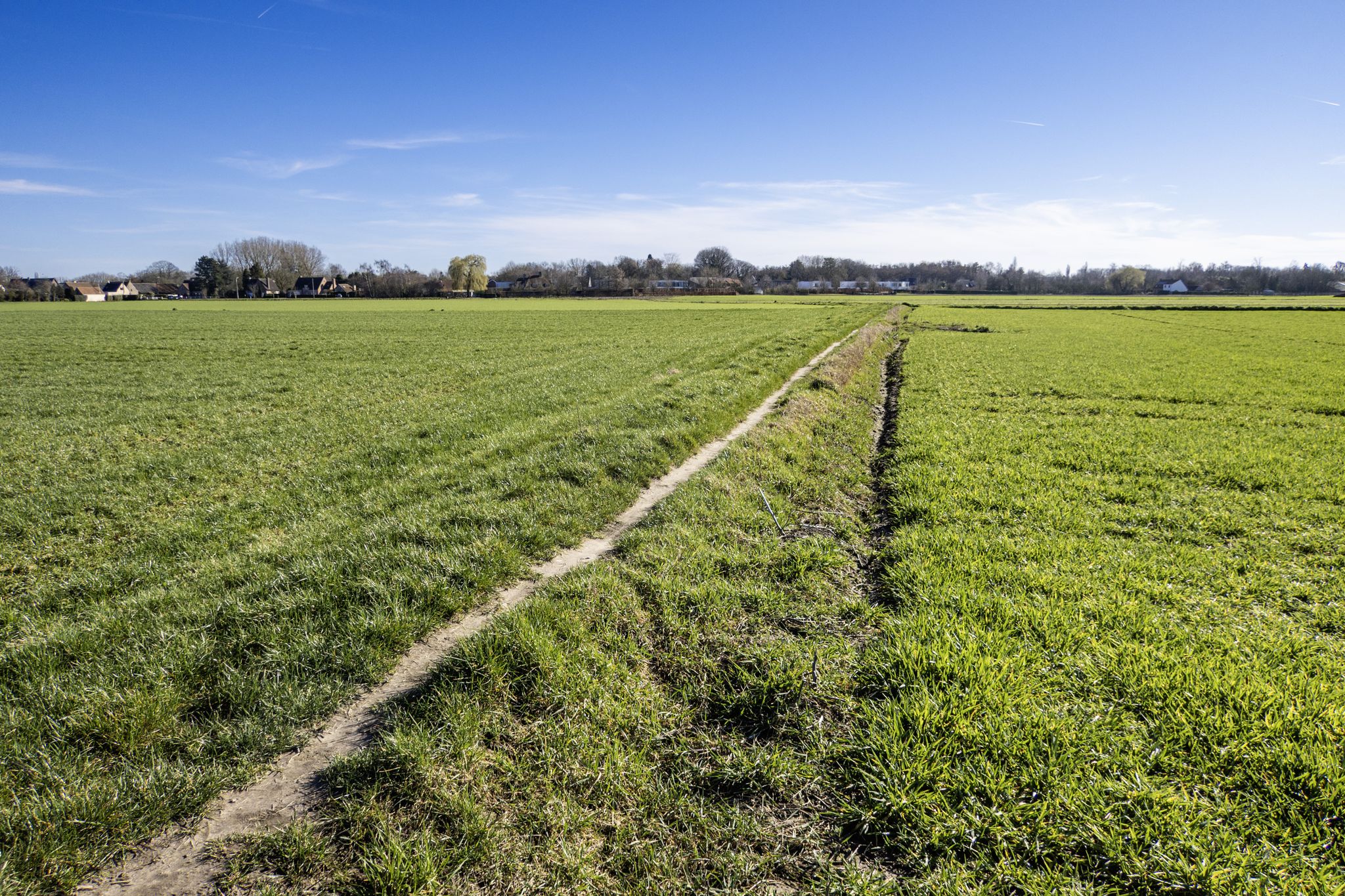 Door de Beelaertmeersen bij Afsnee
