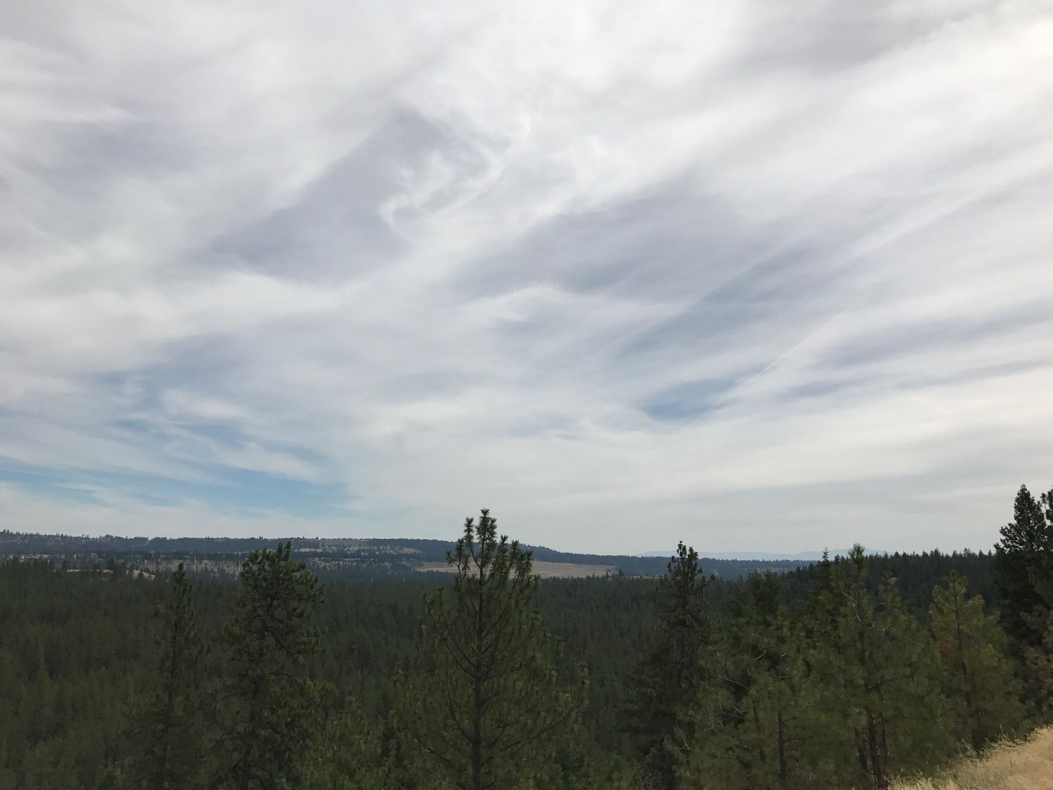 Expansive view of a dense forest under a dramatic cloudy sky. - Centennial Trail – The Dip loop from Riverside State Park