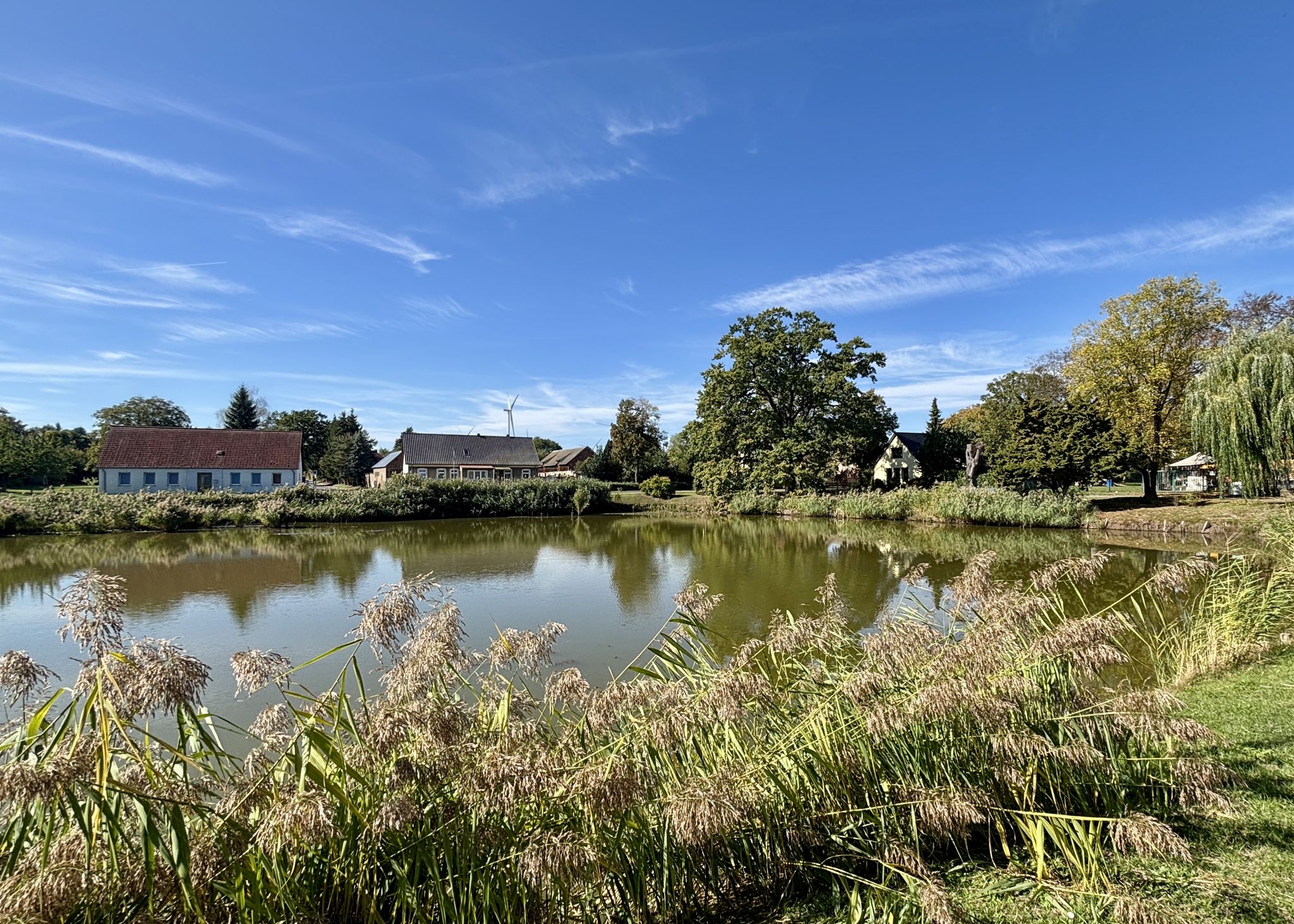 Dorfteich Friedersdorf
