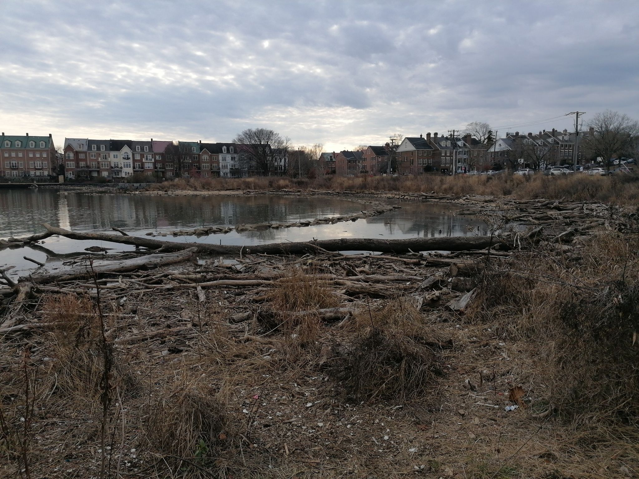 Water with debris and distant buildings under a cloudy sky. - Mount Vernon Trail: Belle Haven to Old Town Alexandria