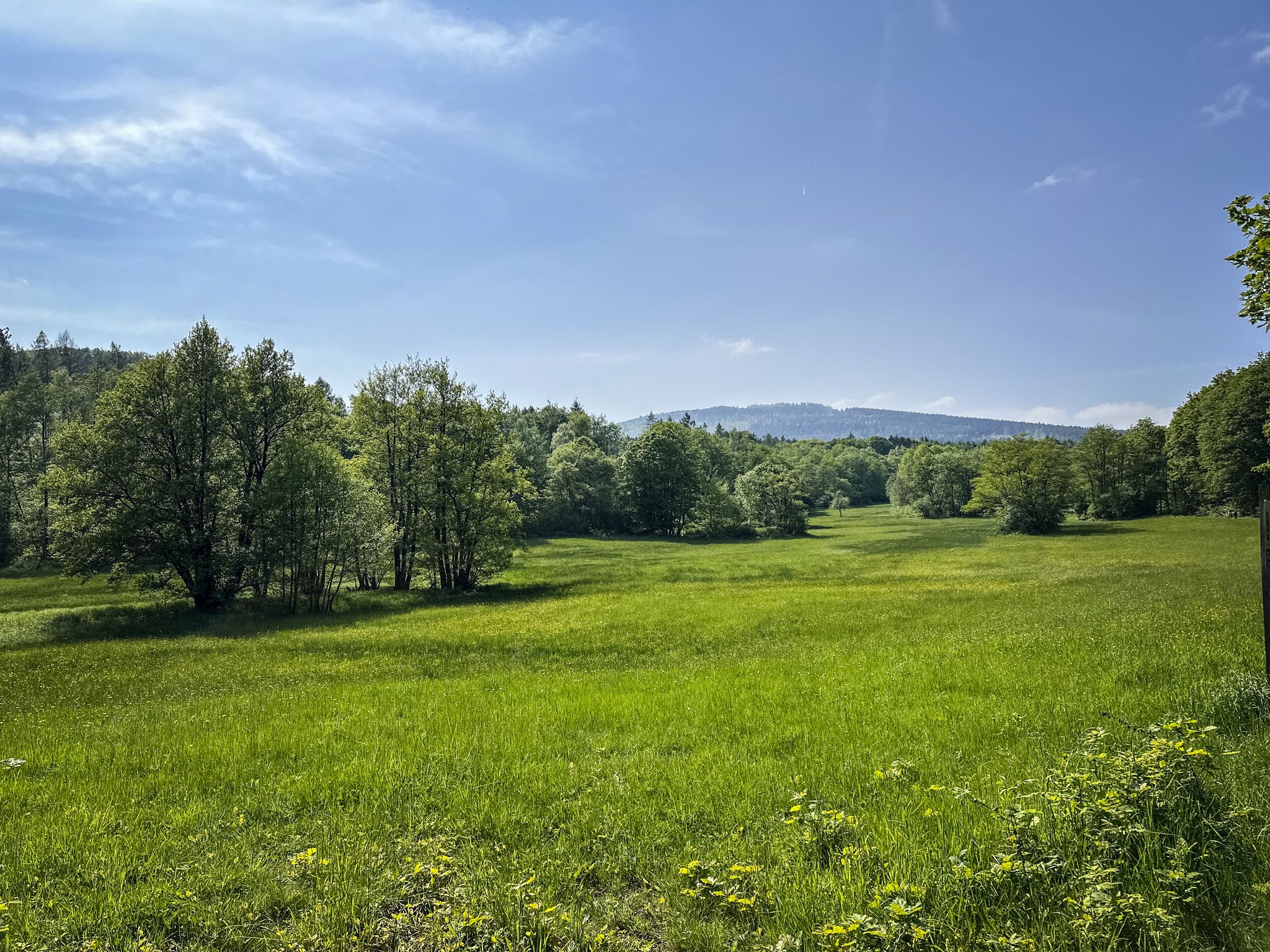 Hühnerbergwiese