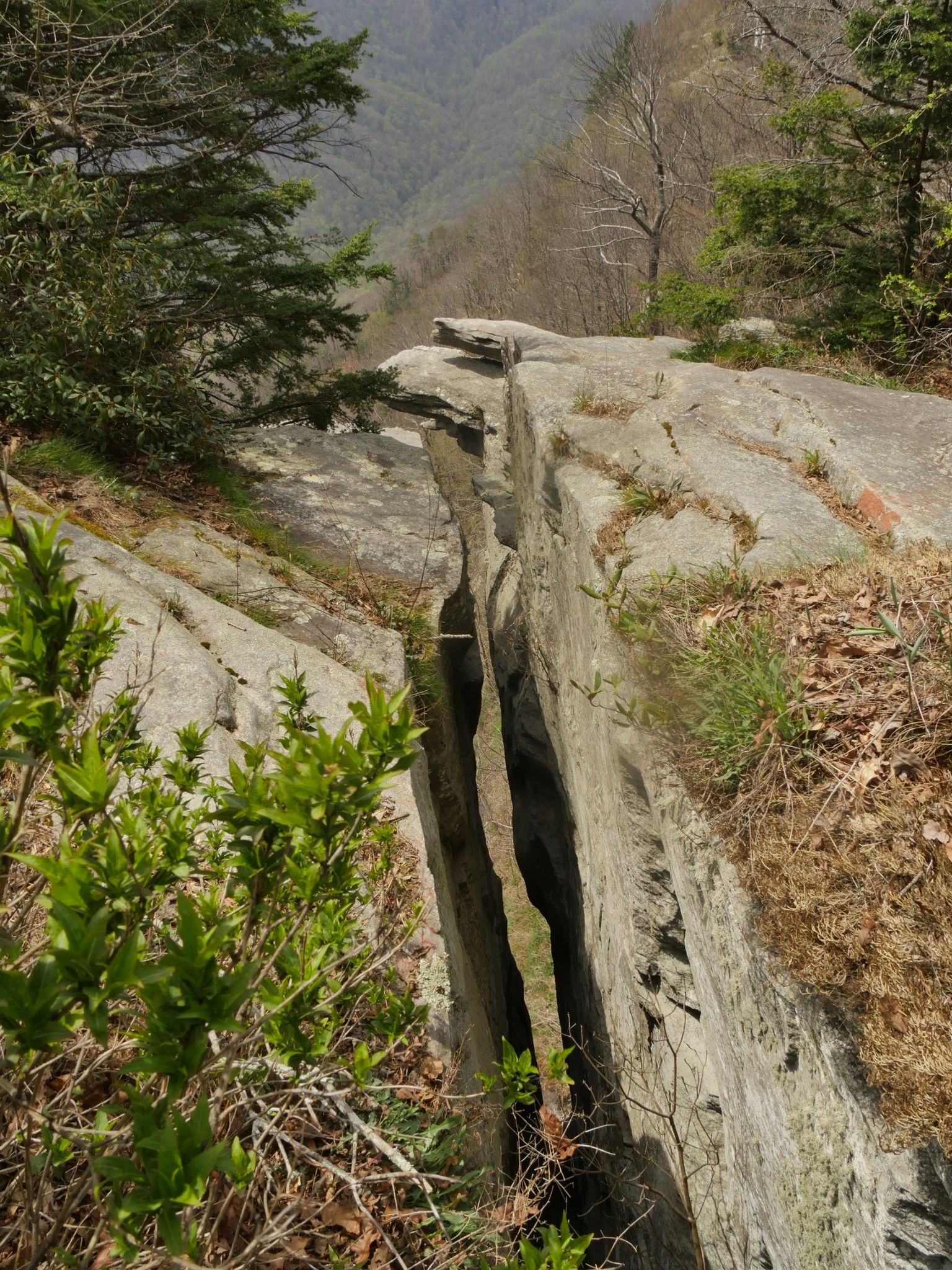 Deep crack in a large rock formation, with green plants and distant mountains. - Jones Gap loop