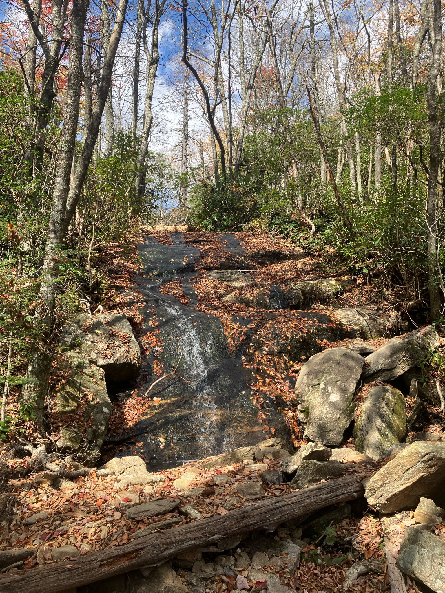 A small waterfall cascades over rocks and autumn leaves in a sunlit forest. - Graybeard Trail