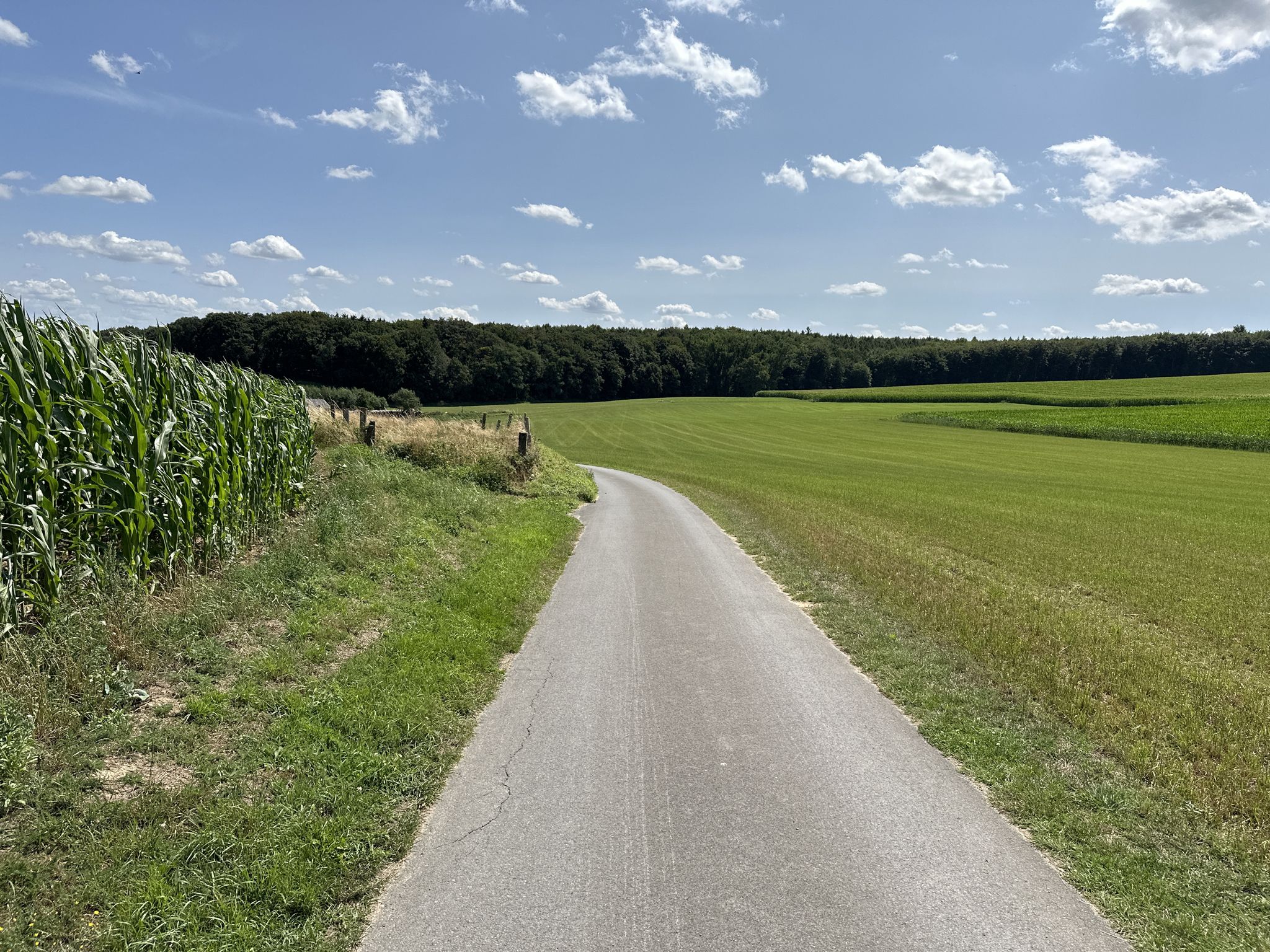 und schon wieder in der Schweiz