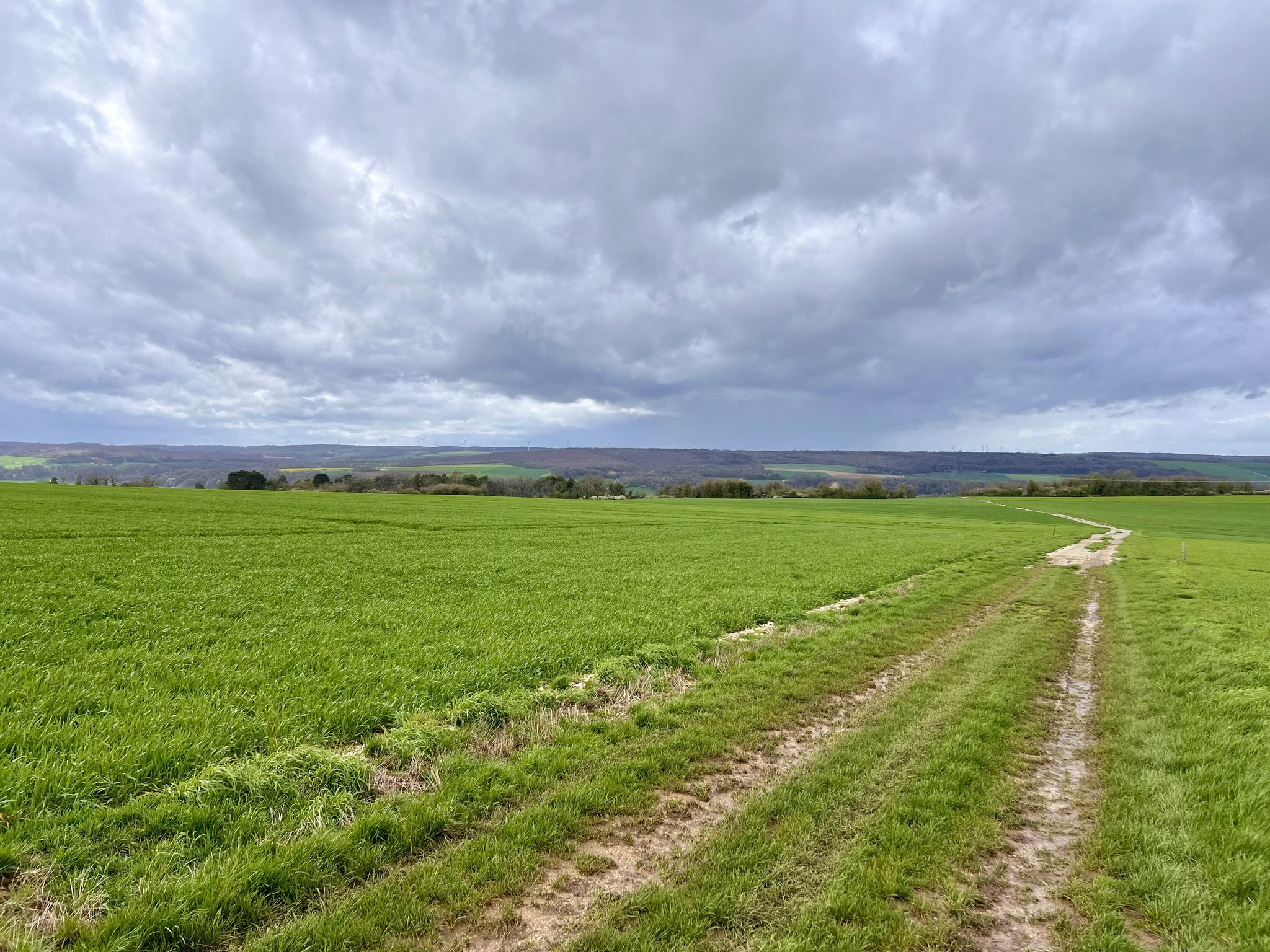 von nun an eher landwirtschaftlich geprägt