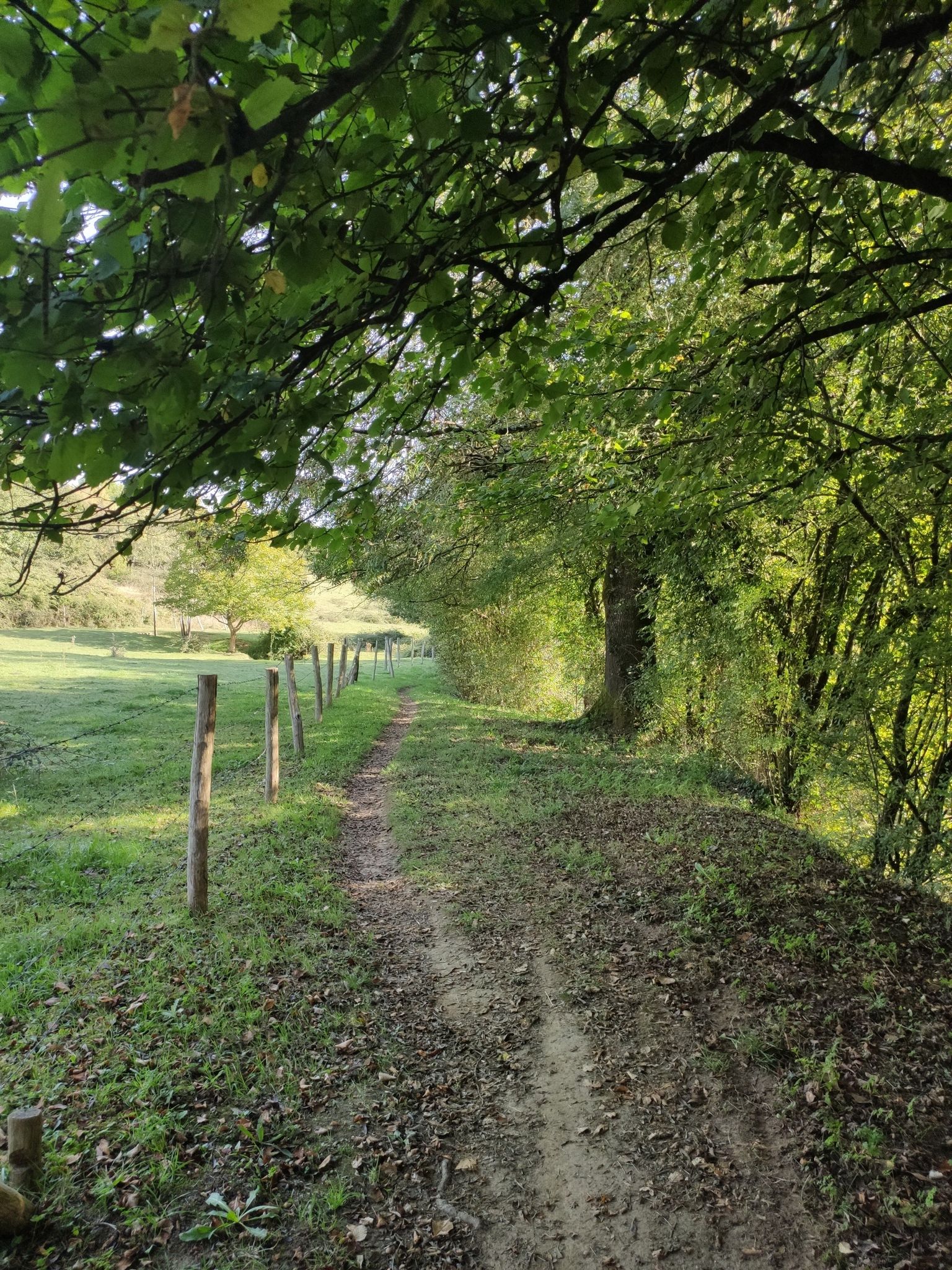le petit sentier