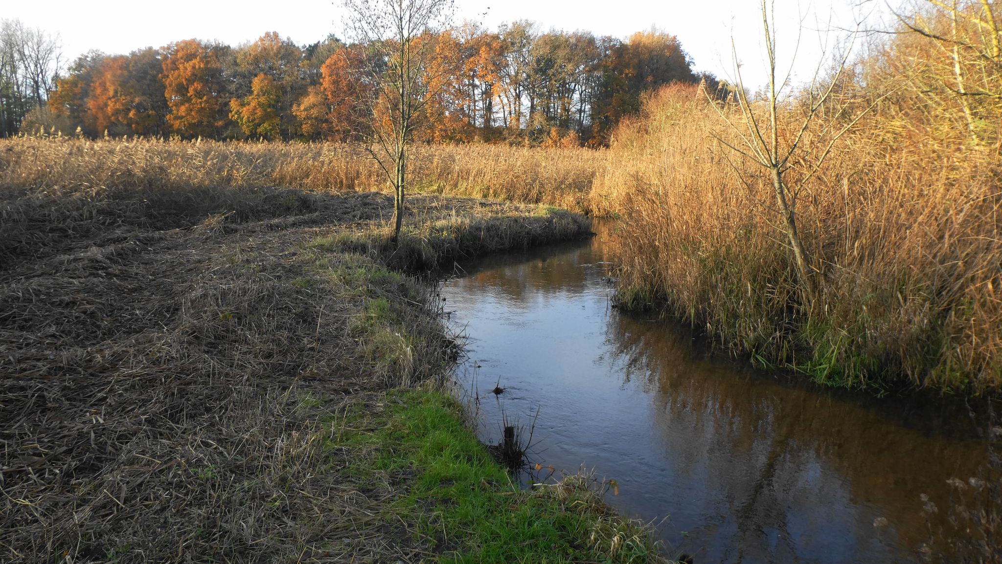 Aue vor Ohrensen