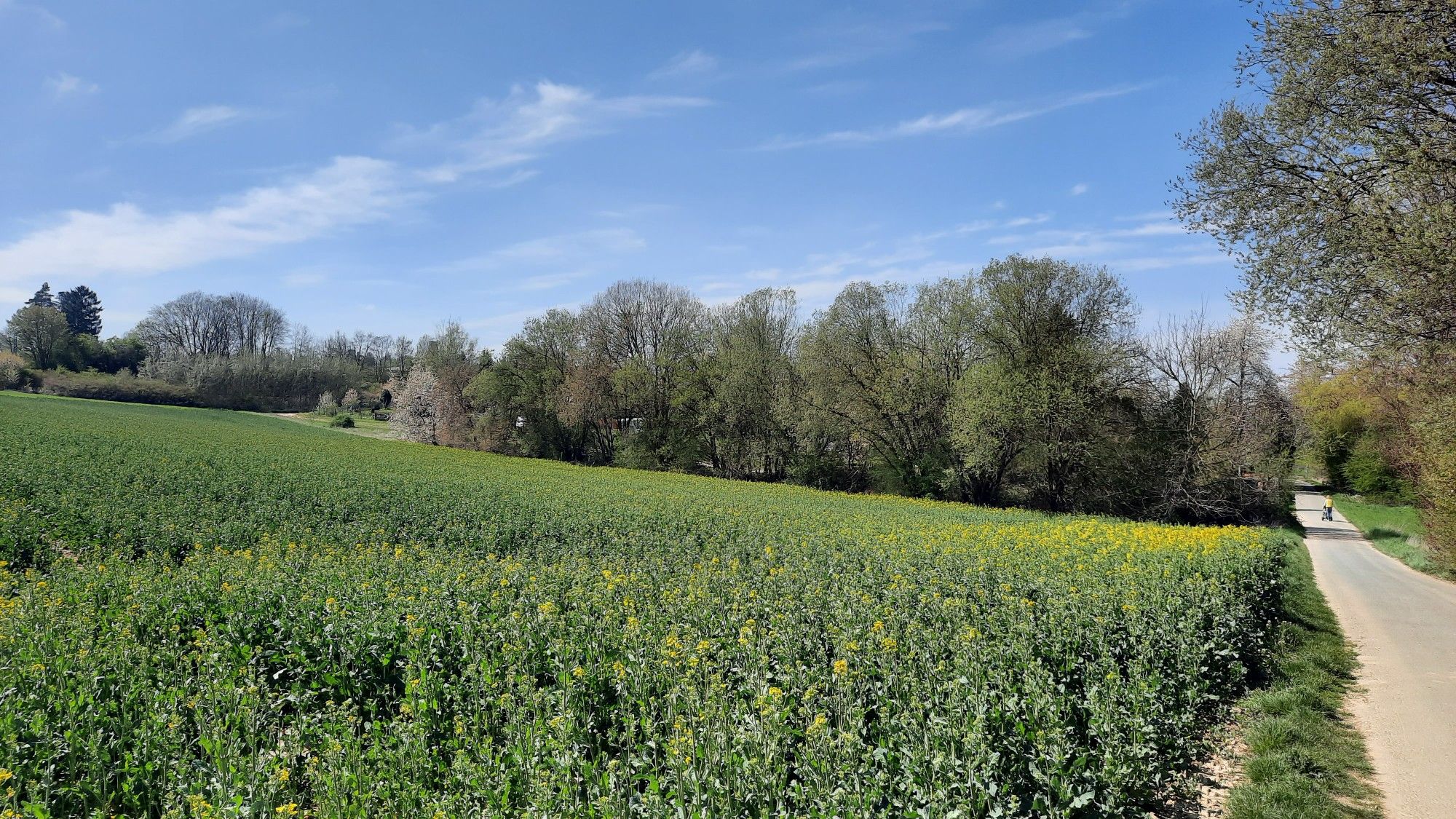 Hessischer Radfernweg R8 bei Bad Camberg