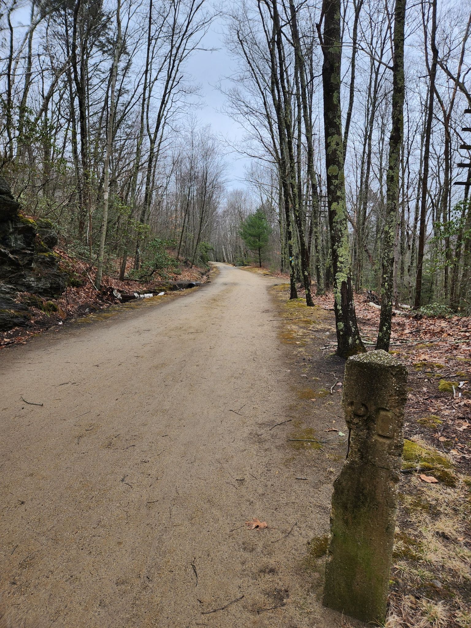 A wide dirt path winds through a bare winter forest under an overcast sky. - Charter Oak Greenway and Hop River Trail Loop