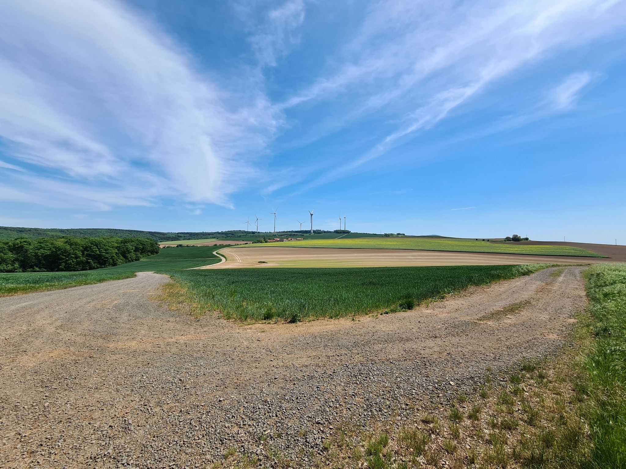 Schneebergerhof