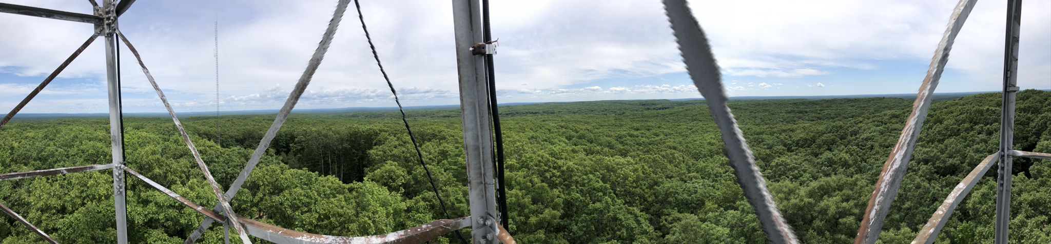 Panoramic view from a metal tower over a vast green forest under a cloudy sky. - Big M Outer Loop