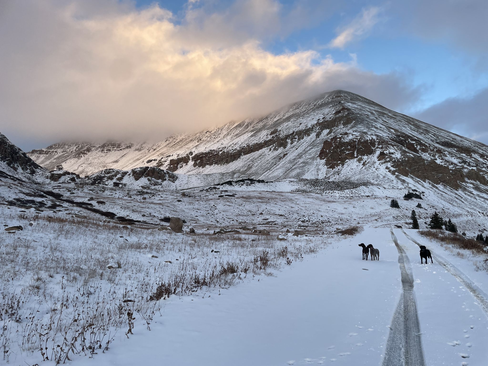 Three dogs on a snowy mountain road with a cloudy peak. - Mineral Belt Trail – Leadville mines loop from Leadville