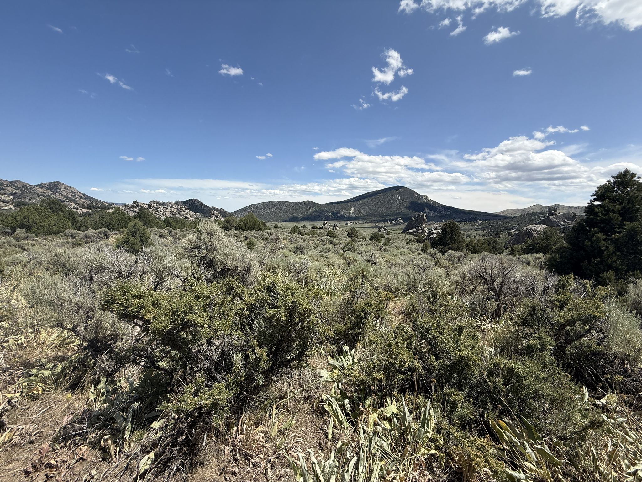 Sunny, brush-covered plain with distant mountains under a bright blue sky. - Stripe Rock Loop