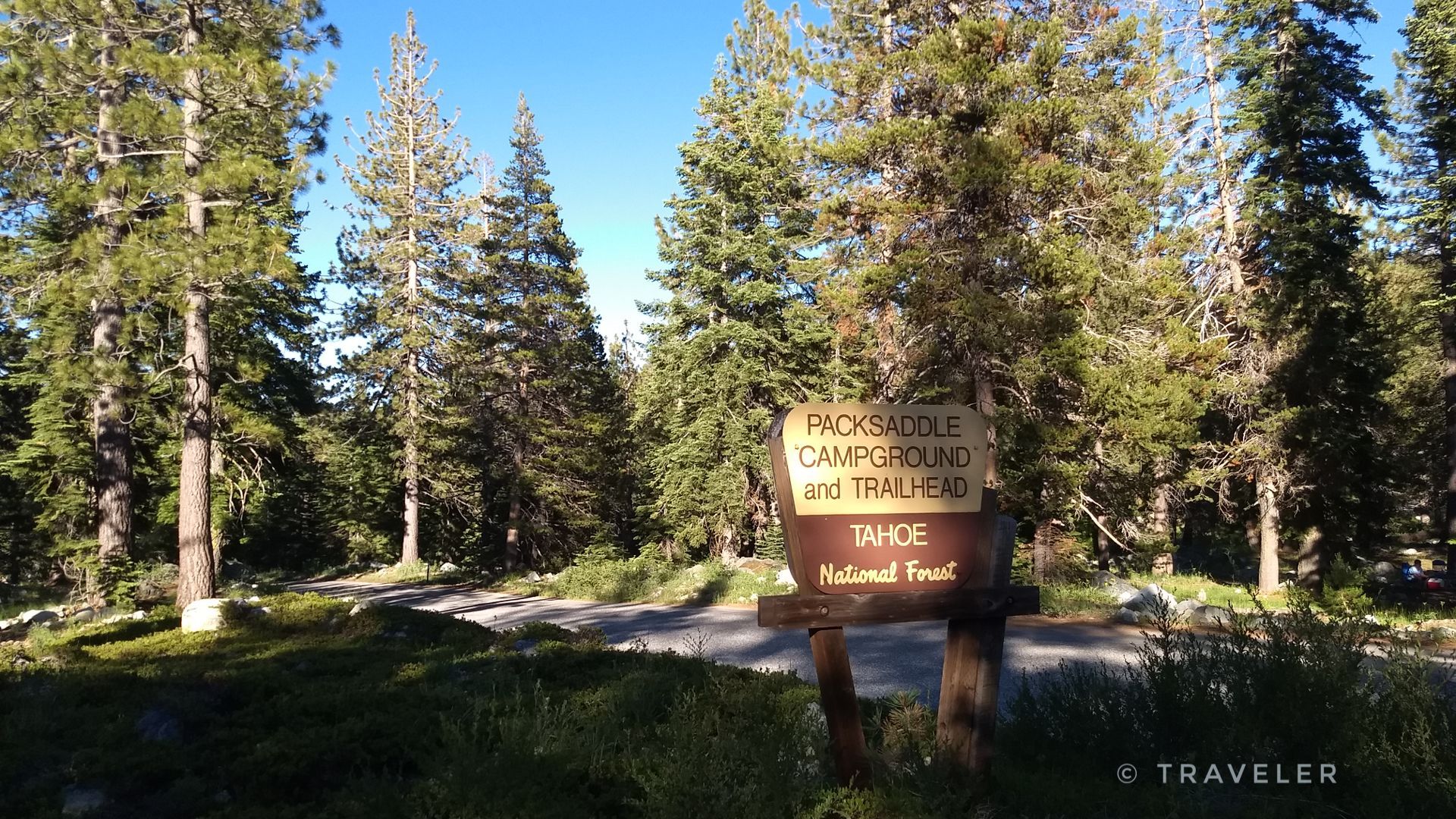 A wooden sign stands by a paved road, surrounded by a dense pine forest. - Yuba Pass Summit – View of Sierra Buttes loop from Calpine