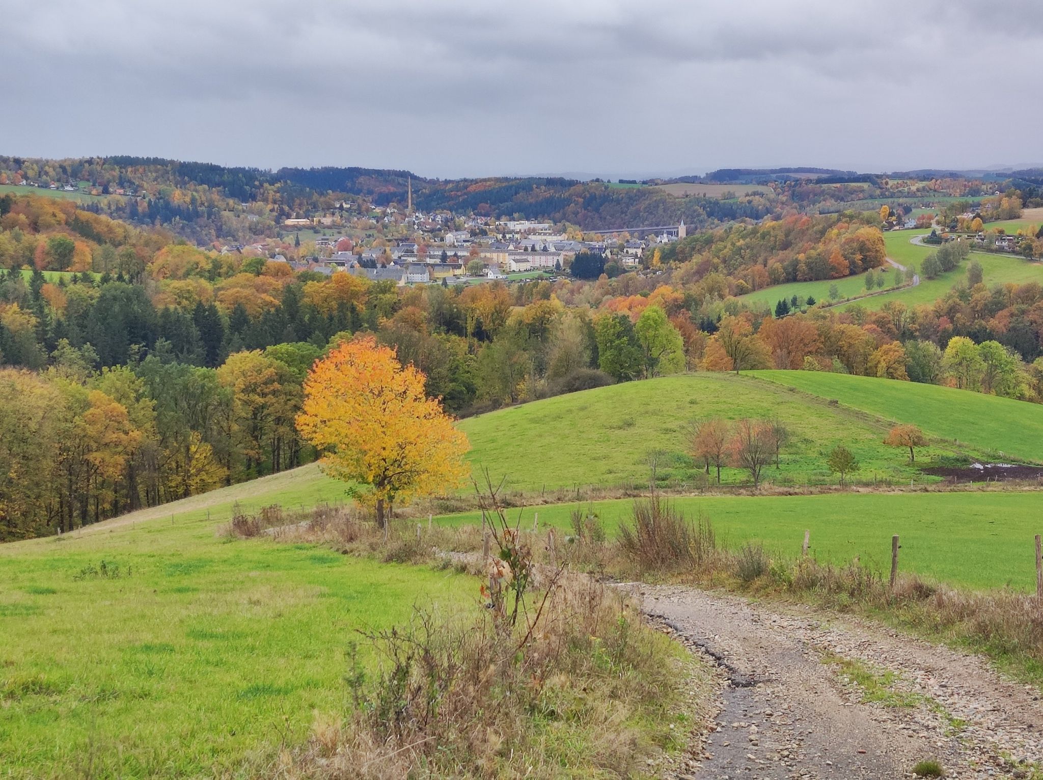 Blick nach Zschopau