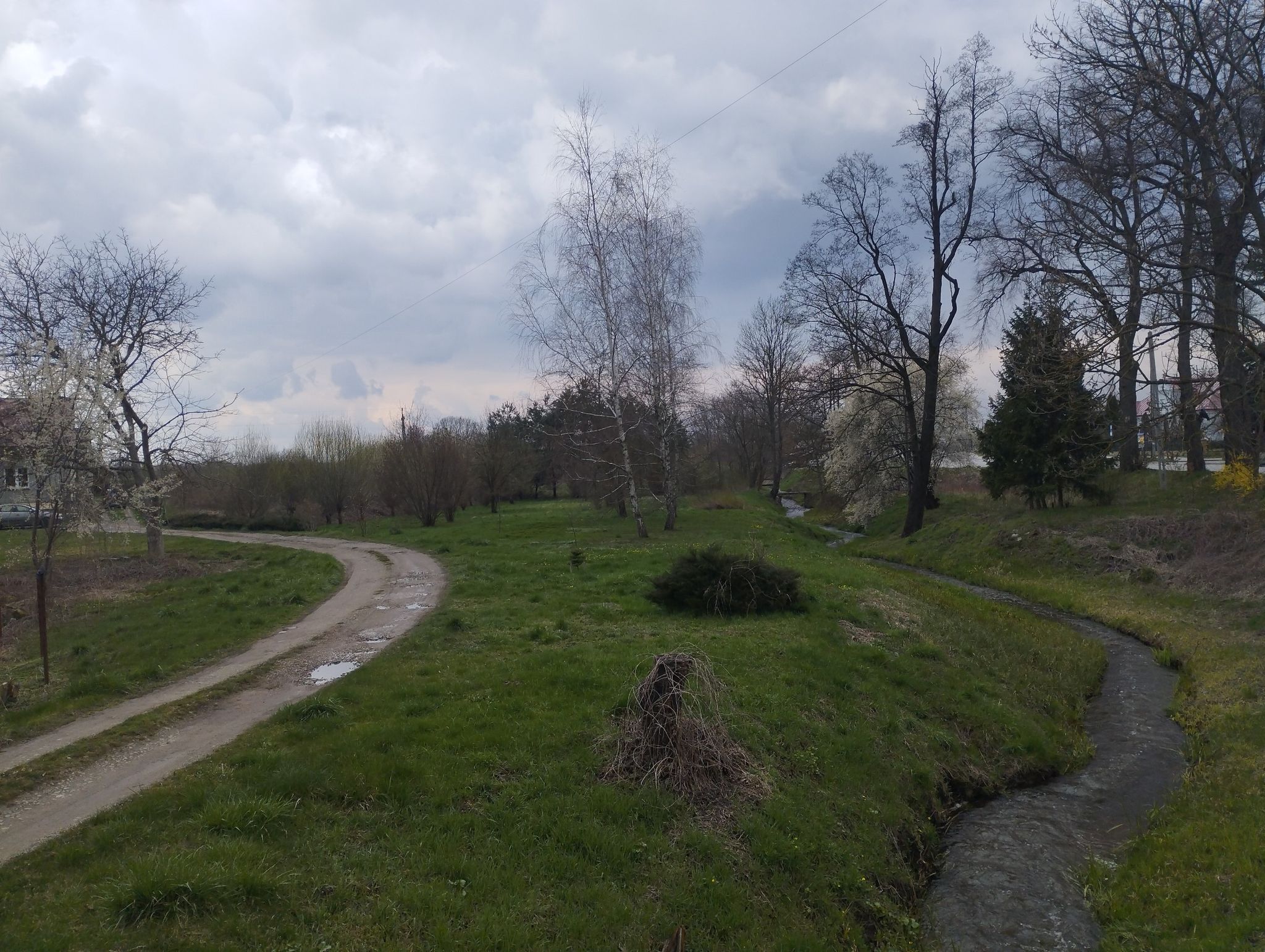 widoczek