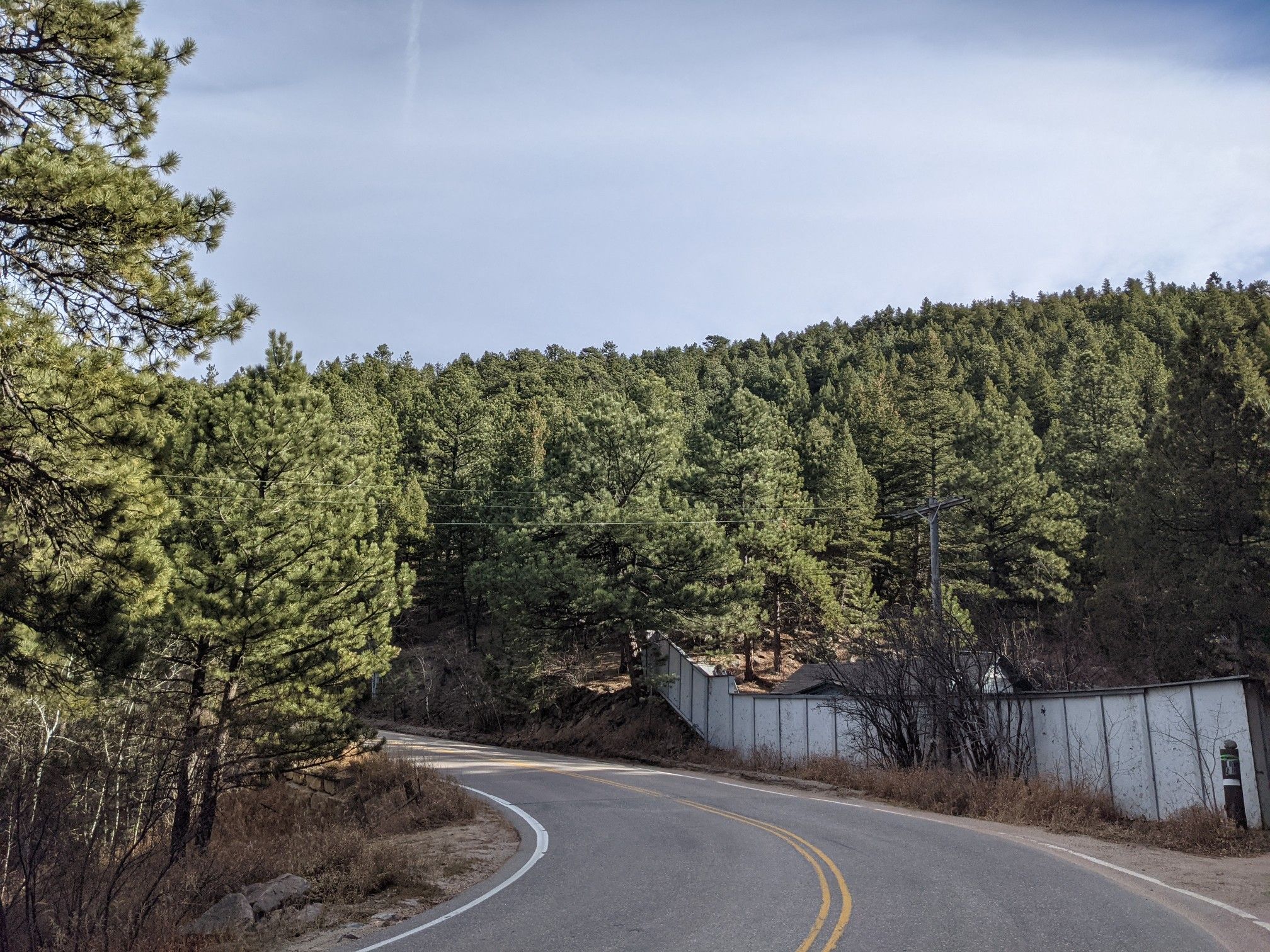 Curved road winding through a dense pine forest with a white fence. - Jamestown Mercantile Café – Jamestown Park loop from Lazy Acres