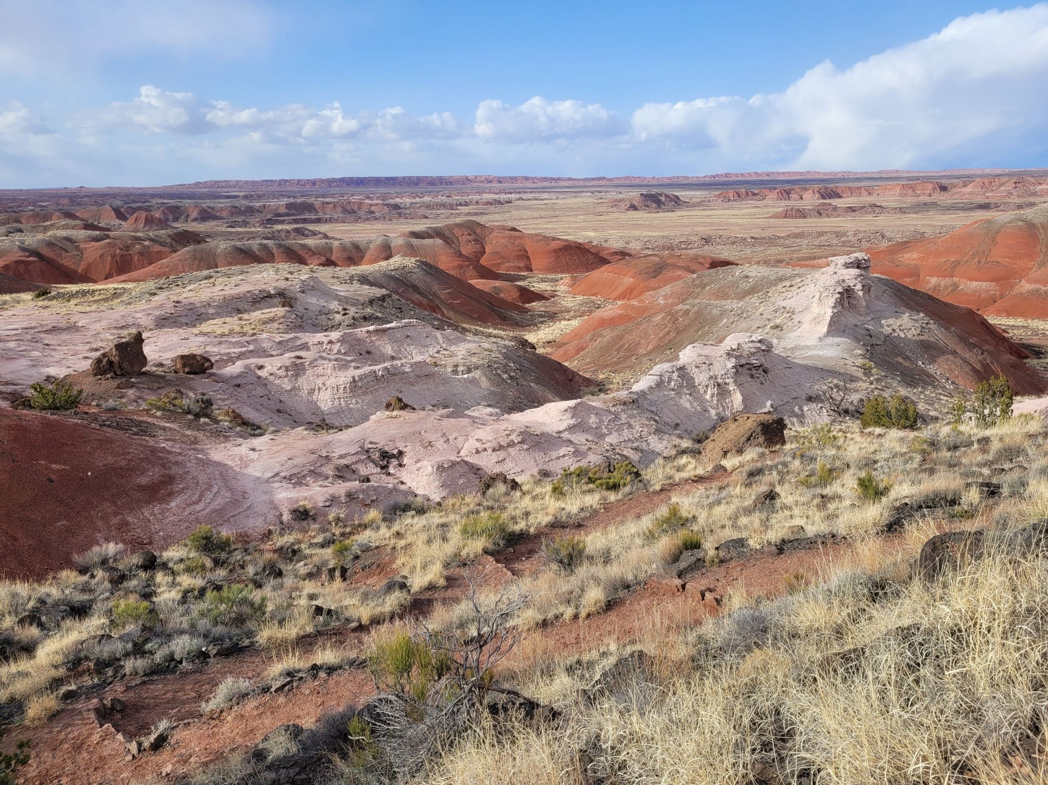 Vast desert landscape with colorful badlands, sparse vegetation, under a partly cloudy sky. - Petrified Forest Scenic Drive