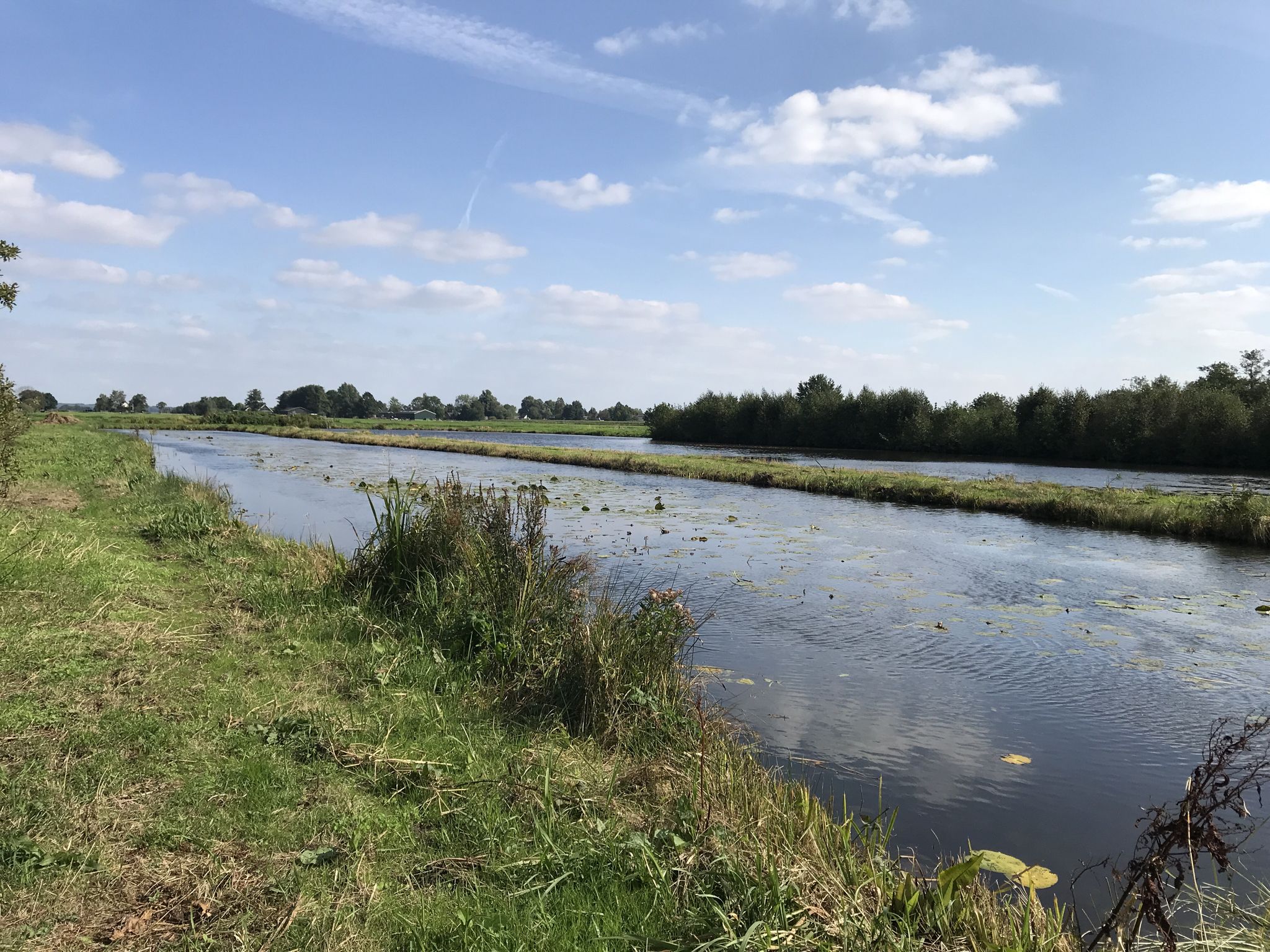 Petgraven en drijftillen, gevolg van de turfwinning