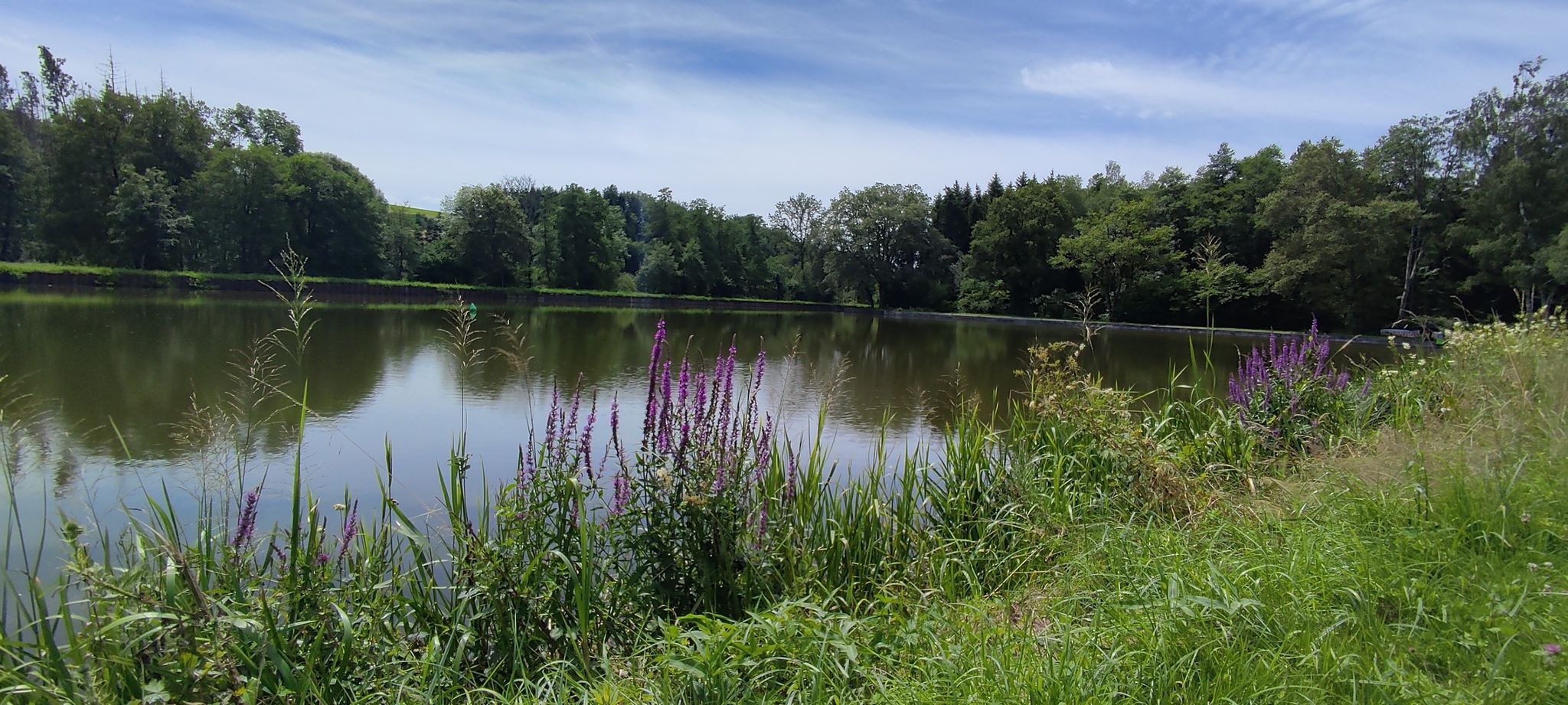 Schöner Rastplatz in Les Forges d´Uzemain