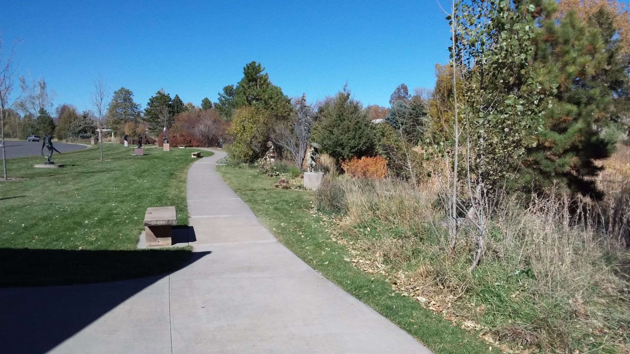 A winding concrete path through a sunny park with green grass and trees. - Benson Sculpture Garden Trail