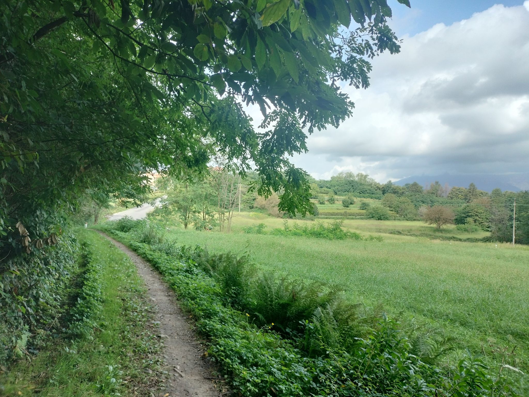 Sentiero in località Ceregallo.