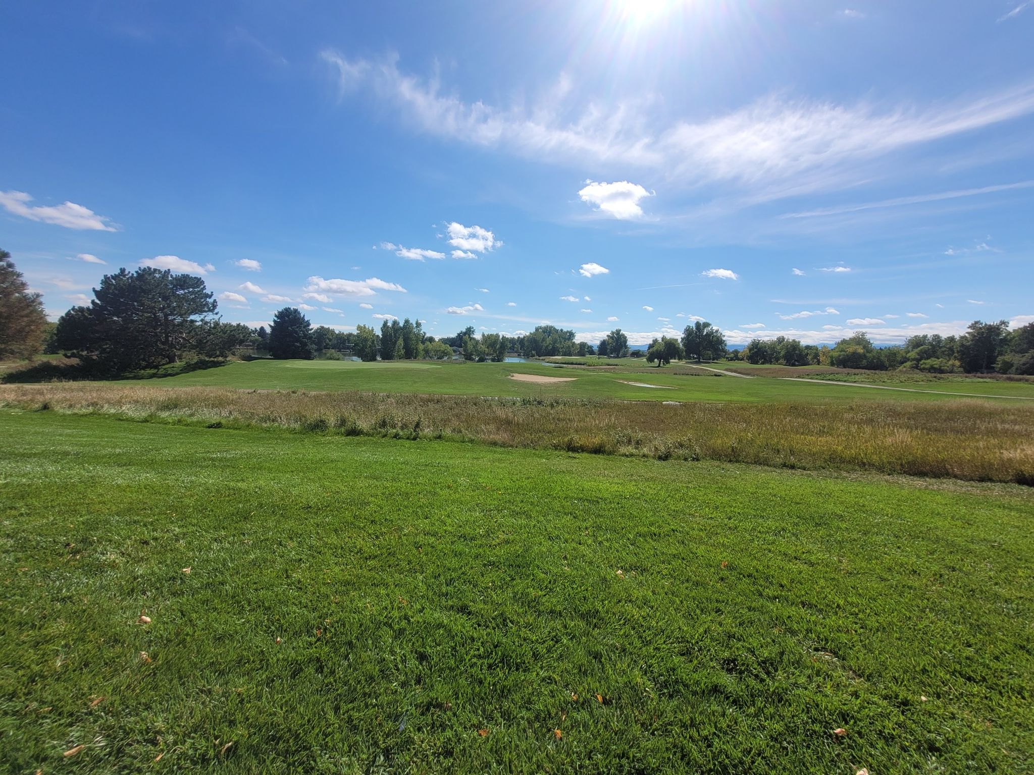 Vast green field under a bright blue sky with scattered clouds. - Lake Link Trail