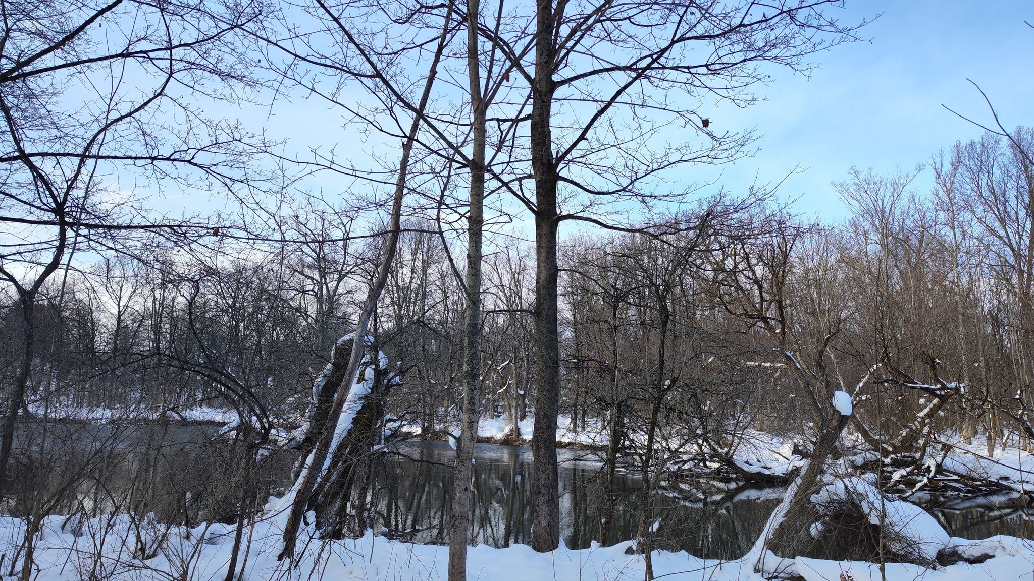 A dark river flows through a snow-covered forest with bare winter trees. - Fort Stanwix National Monument – Mohawk River Trail loop from City of Rome