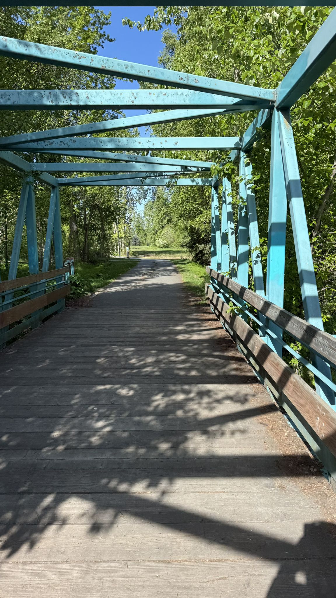 Blue metal bridge with a wooden deck over a sunny path through trees. - University Lake Park – Taku Lake loop from American Meadows