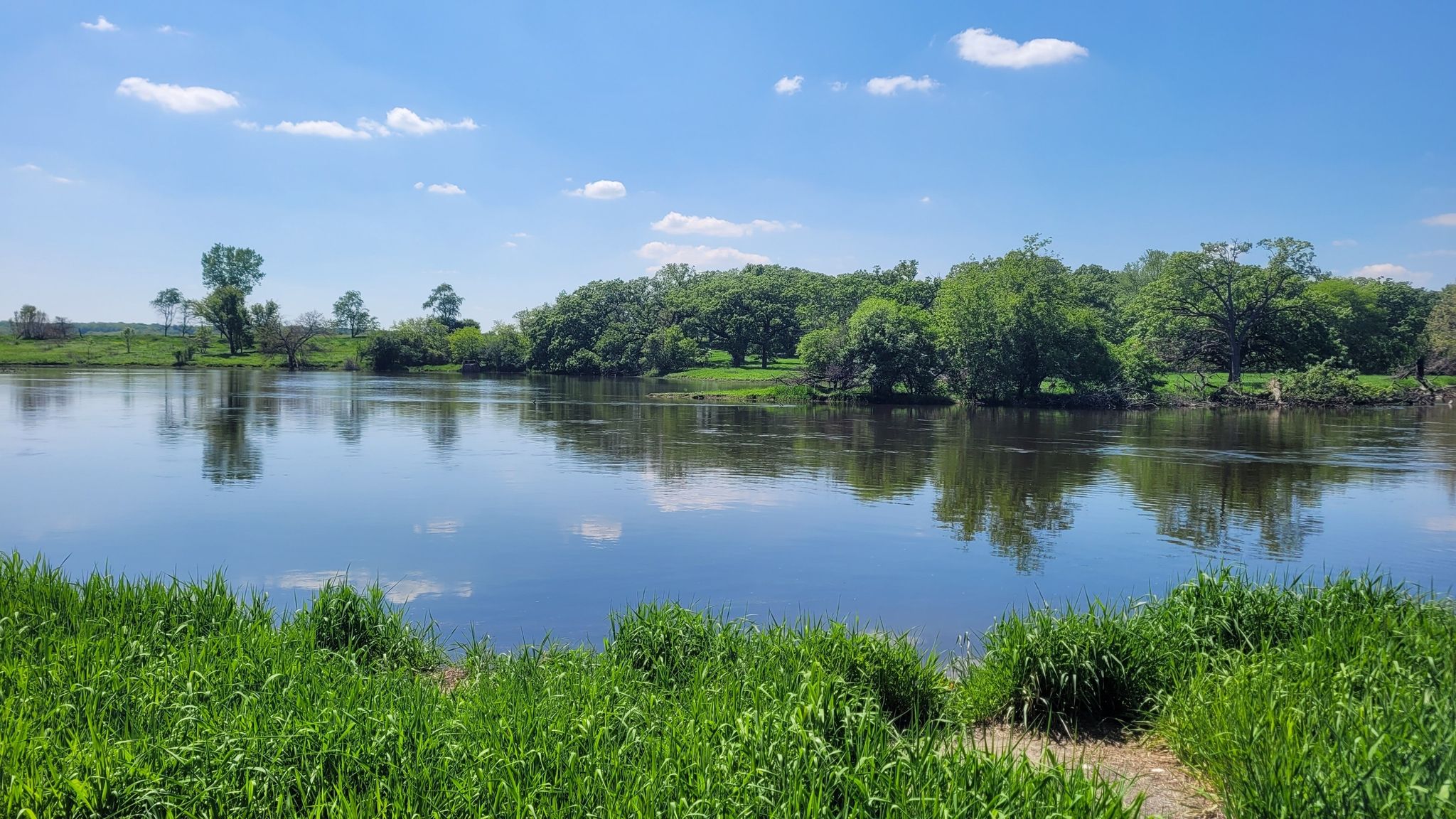 A wide river reflects a blue sky and green trees on a sunny day. - Fox River Trail
