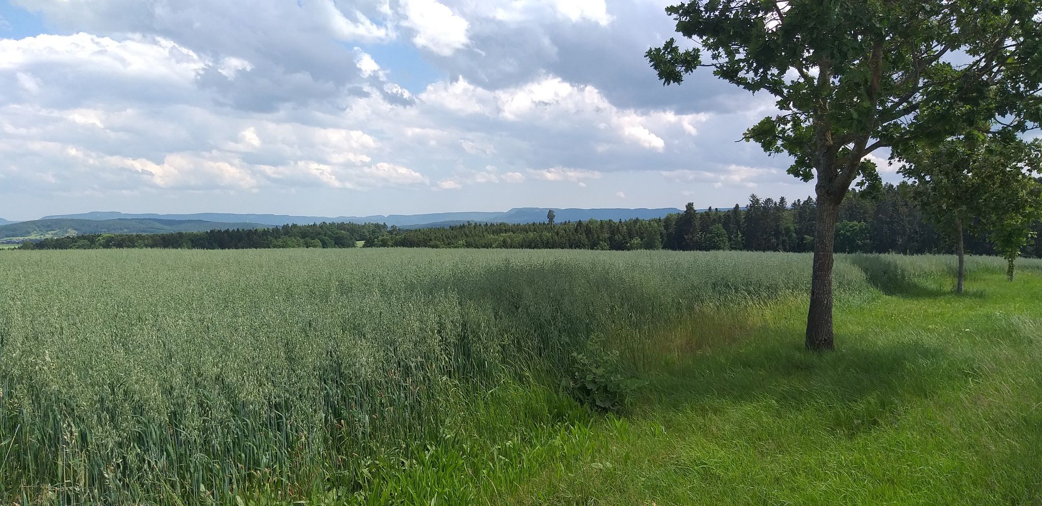  Blick zur Alb