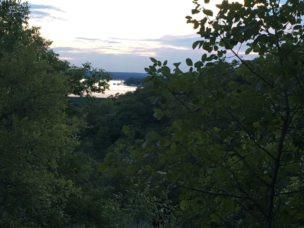 A distant lake is visible through green tree foliage at dusk. - Jojo's and Thunder Road Loop