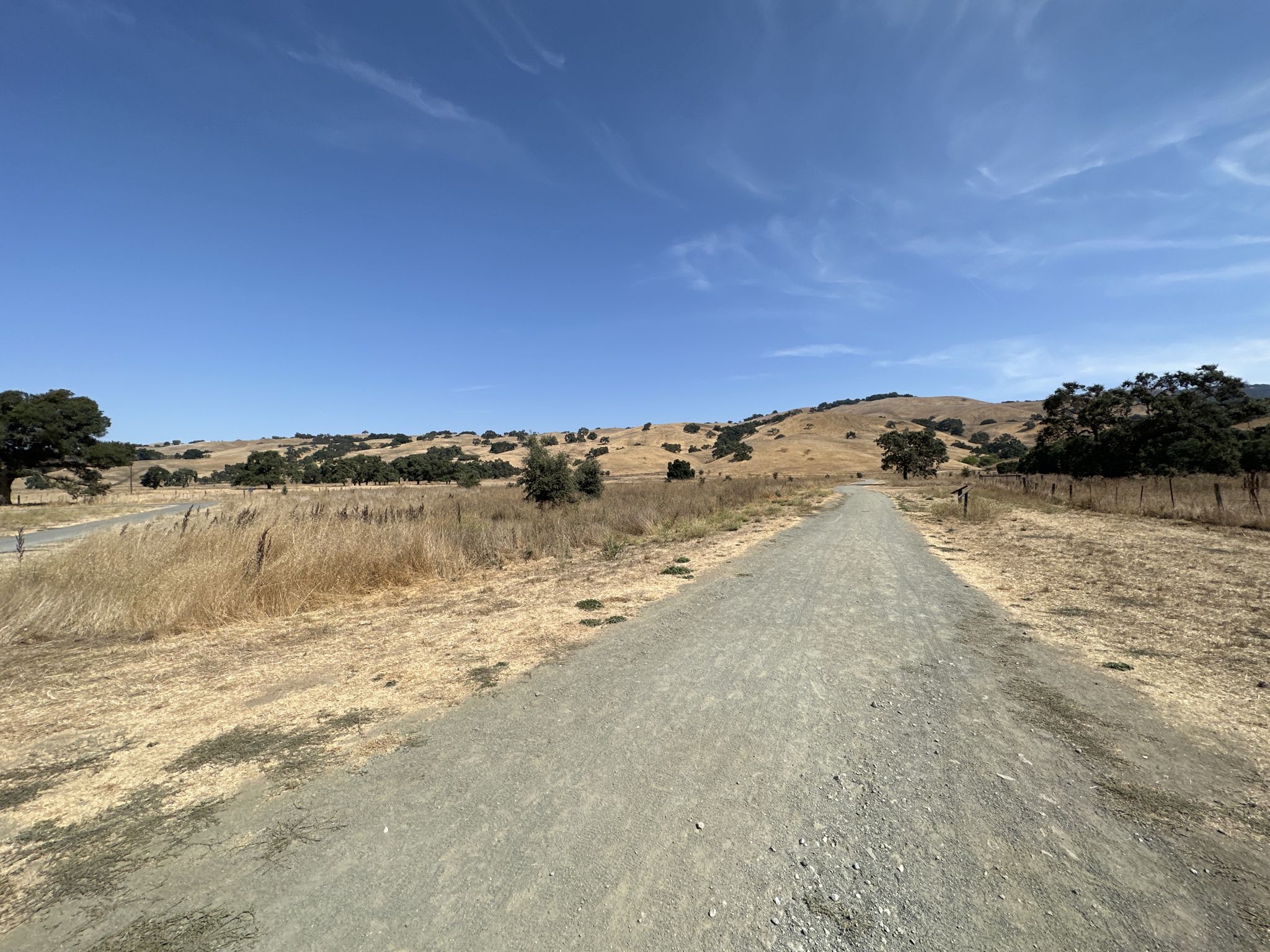 Straight gravel path through dry fields towards distant hills under blue sky. - Martin Murphy Trail