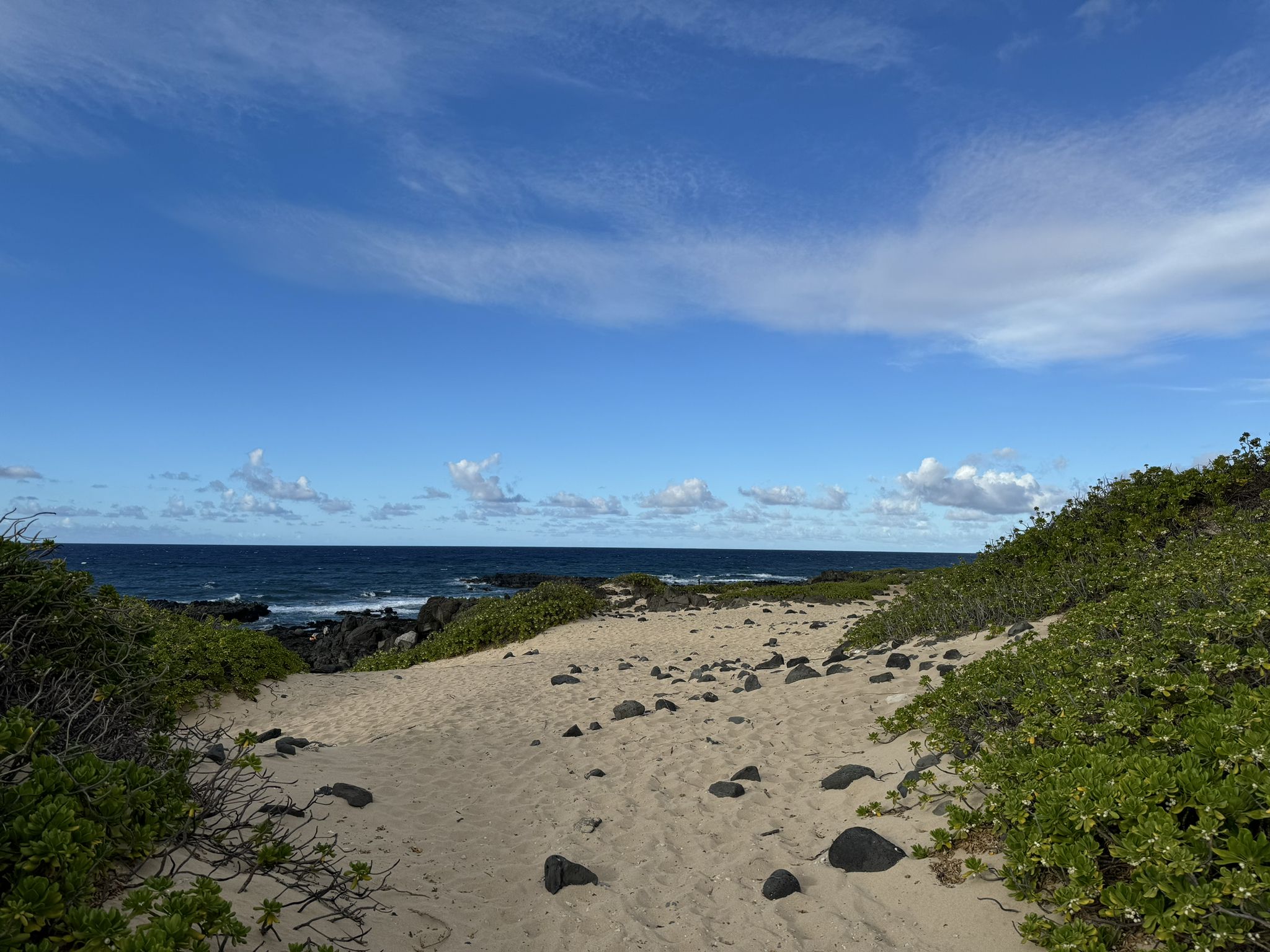 Sandy beach with scattered rocks, leading to a blue ocean under a cloudy sky. - Kaena Point via Walalua loop
