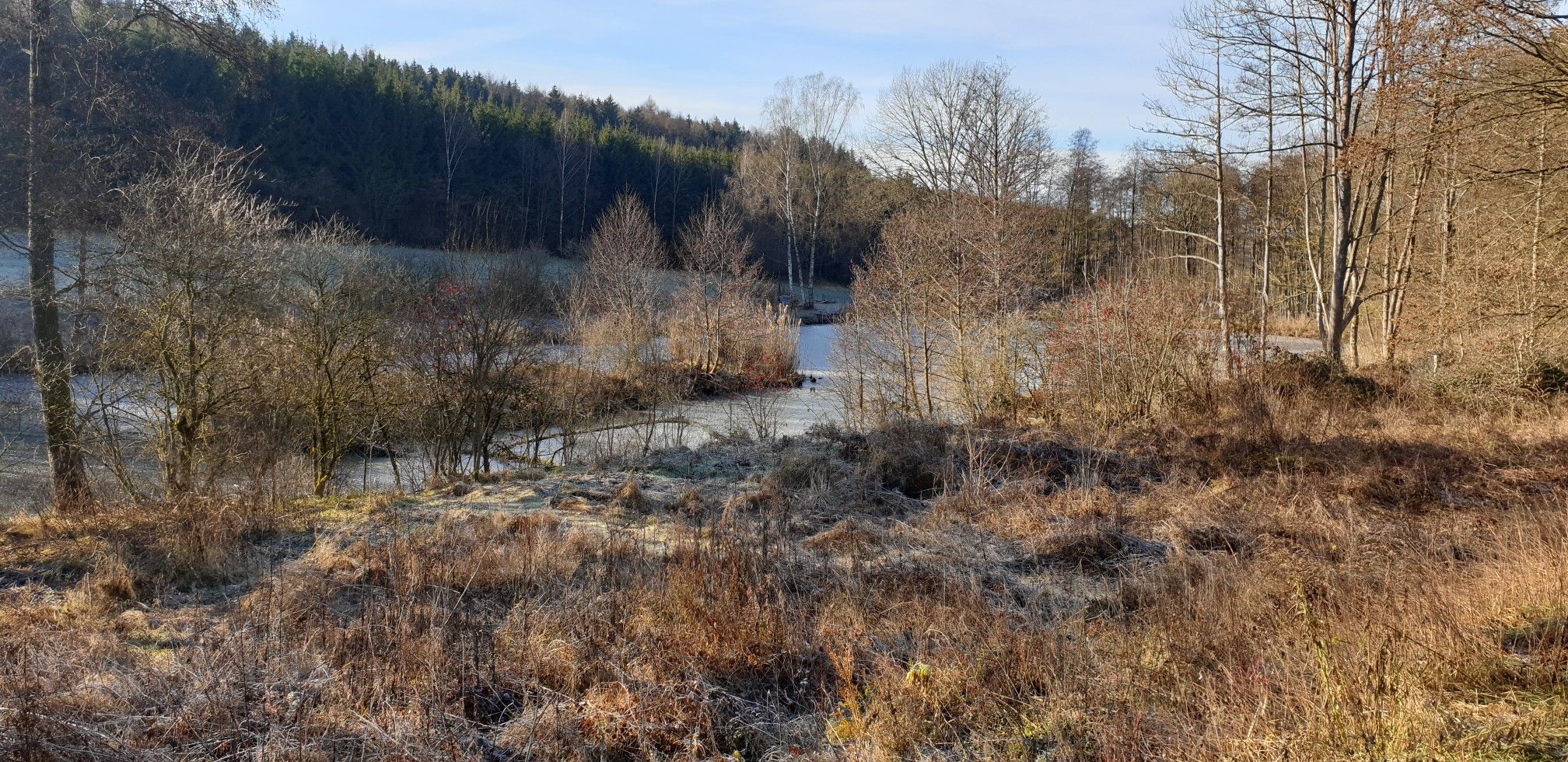 Johannisbächlein