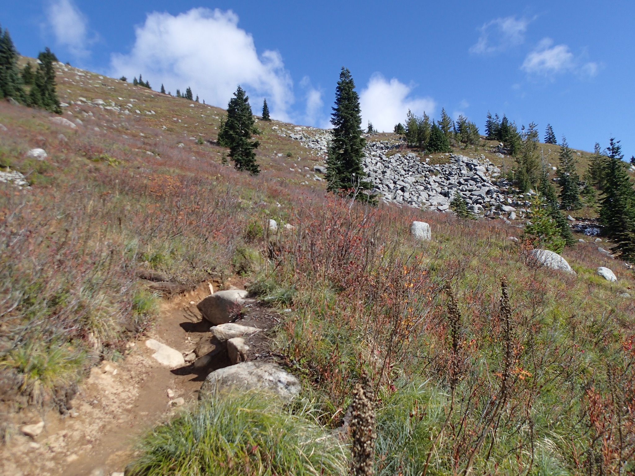 Uphill dirt path through red and green brush with scattered trees. - Talapus Lake Trail
