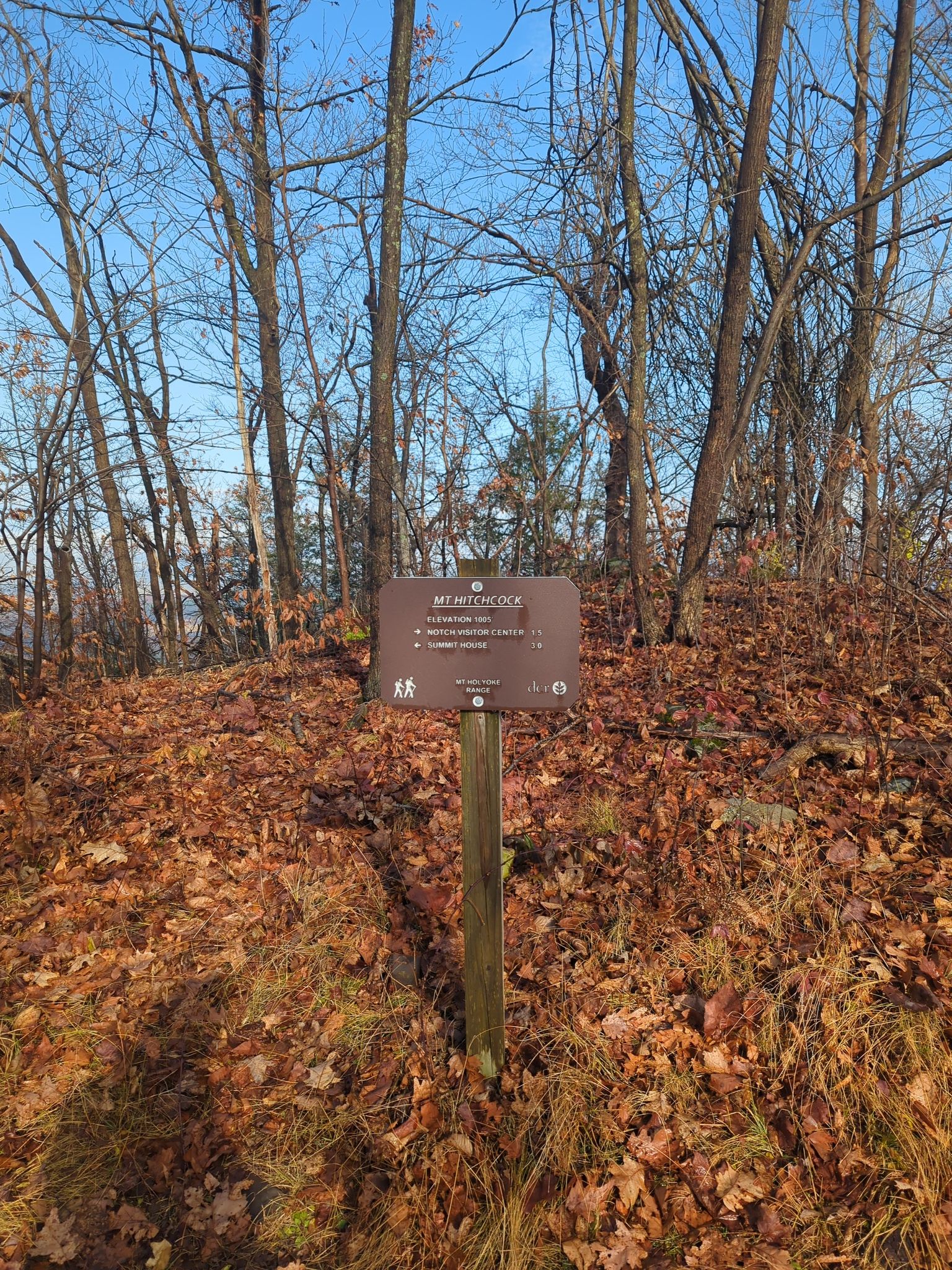 Trail sign on a post in a leaf-covered forest, bare trees. - Bare-Hitchcock loop