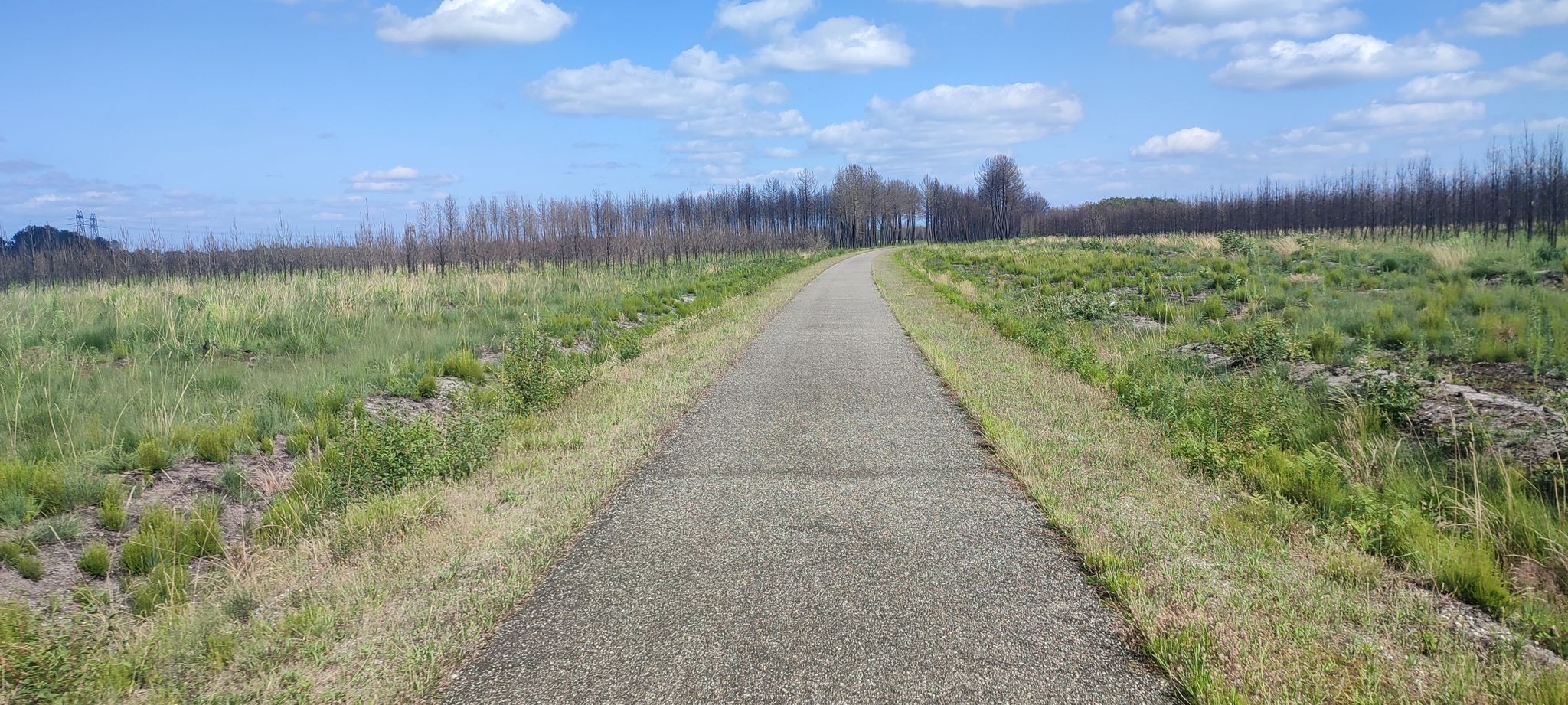 Bahntrassenradweg EV3 und D802 nach St Sympohrien, 1 Jahr nach dem Waldbrand