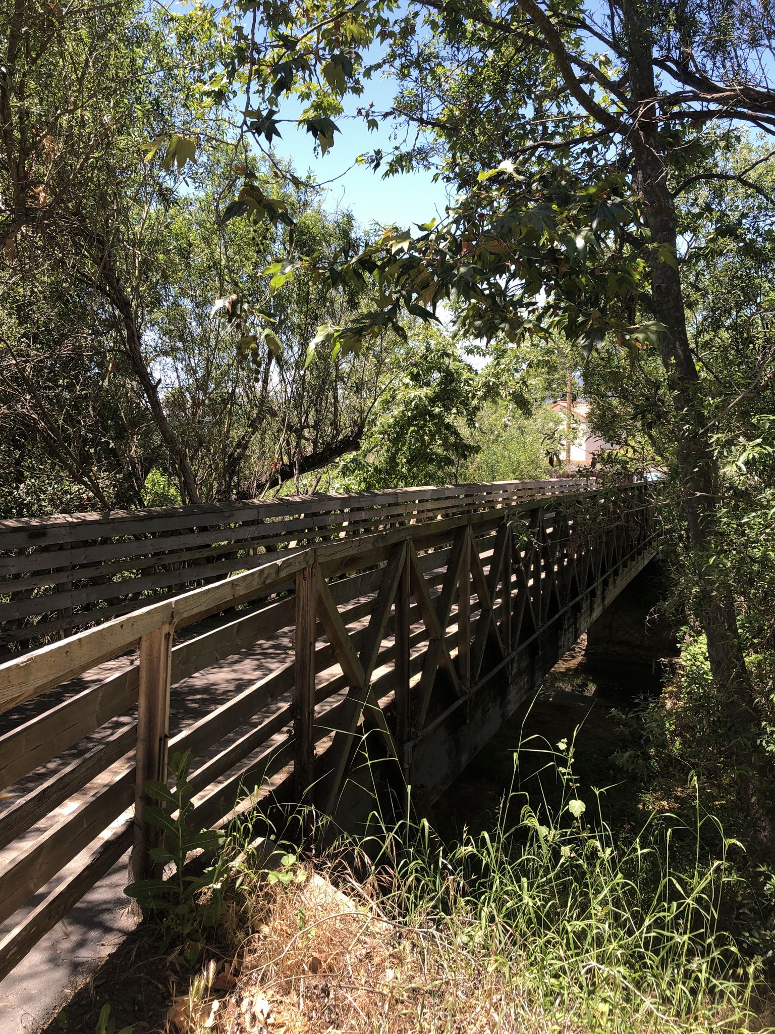 A long wooden pedestrian bridge surrounded by lush green trees. - Maria Ygnacio Bike Route – Modoc Multi Use Trail loop from Bishop Garcia Diego High School