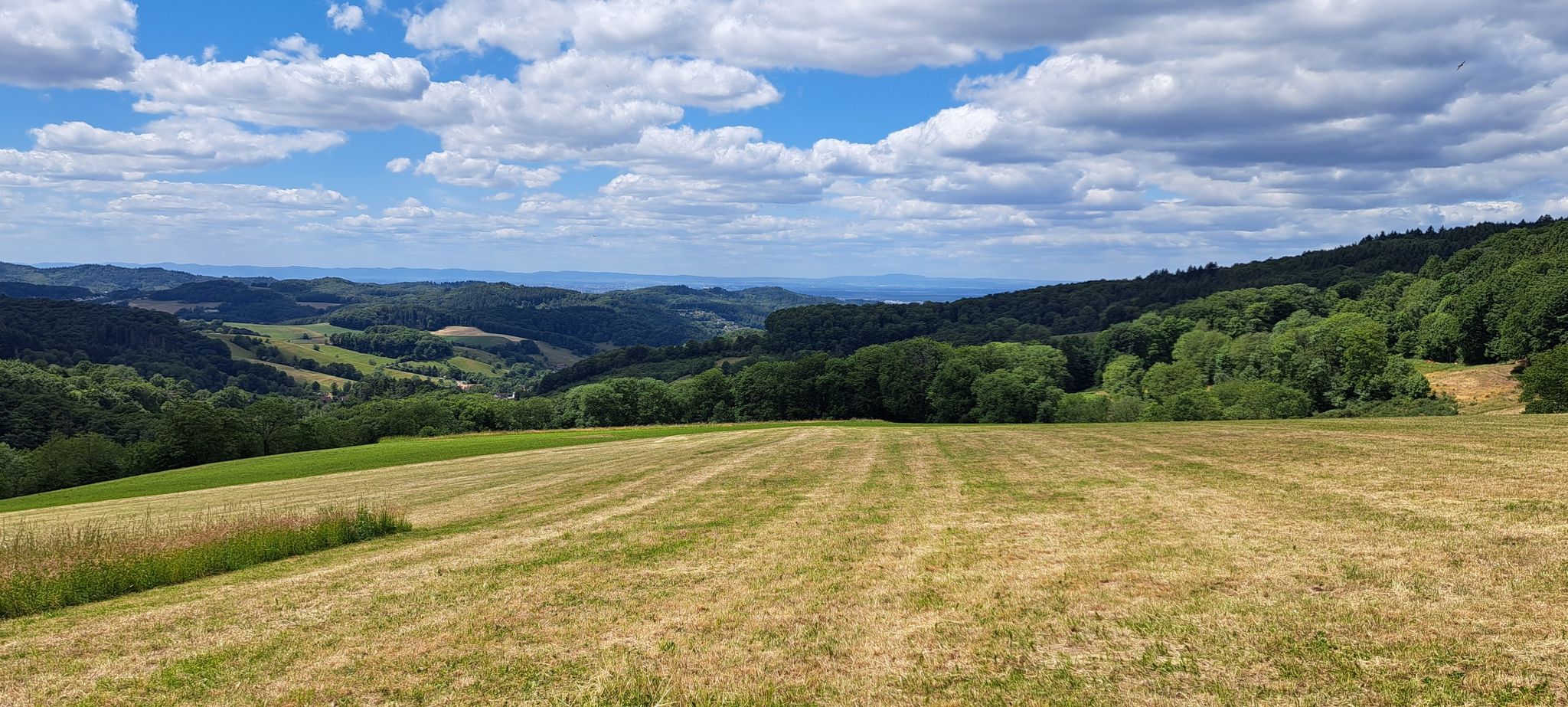 Richtung Rheinebene