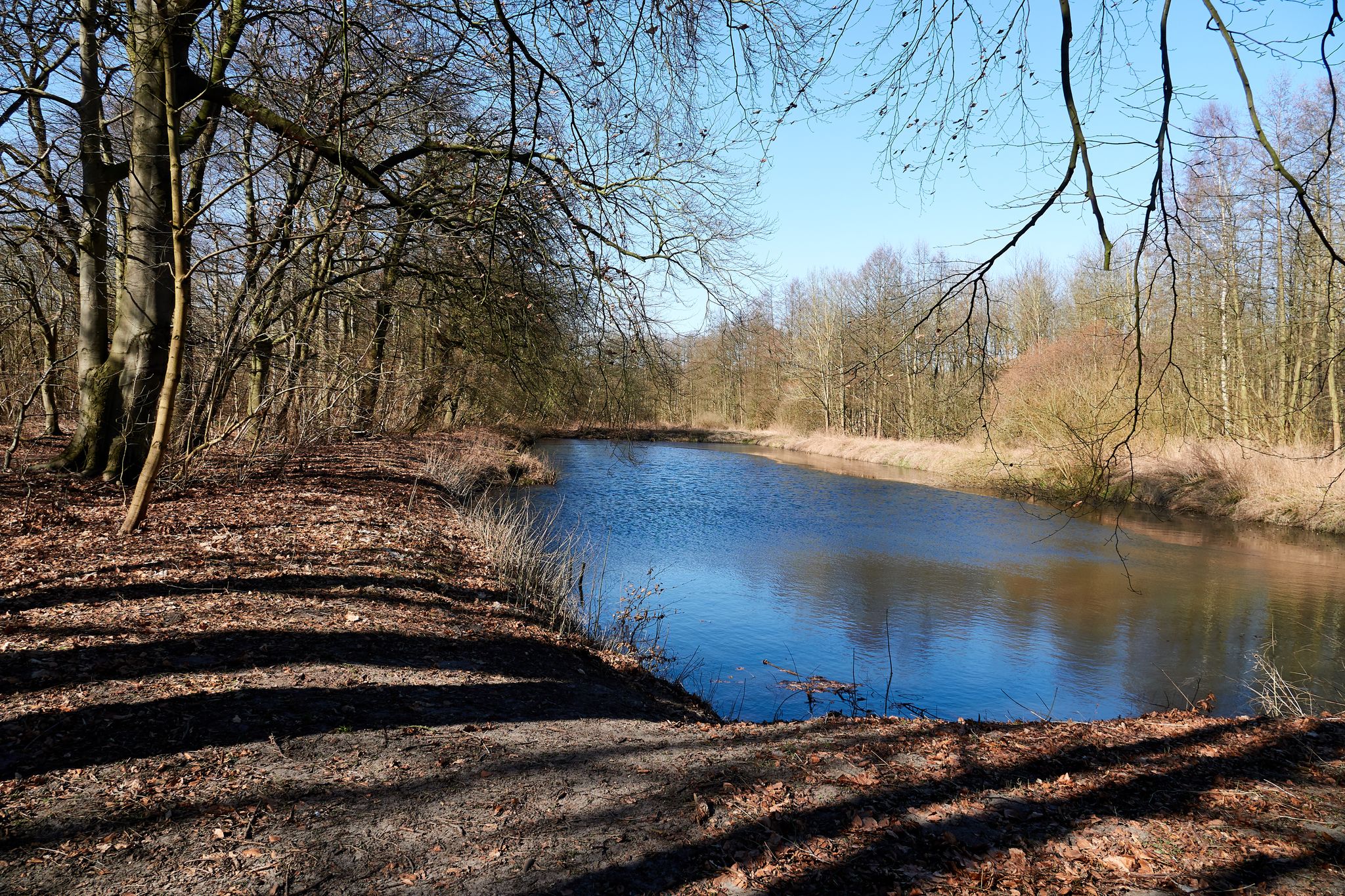 1. Deichbachteich