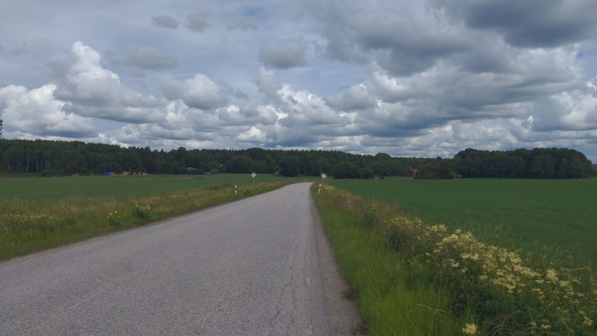 still road with lots of cars :(