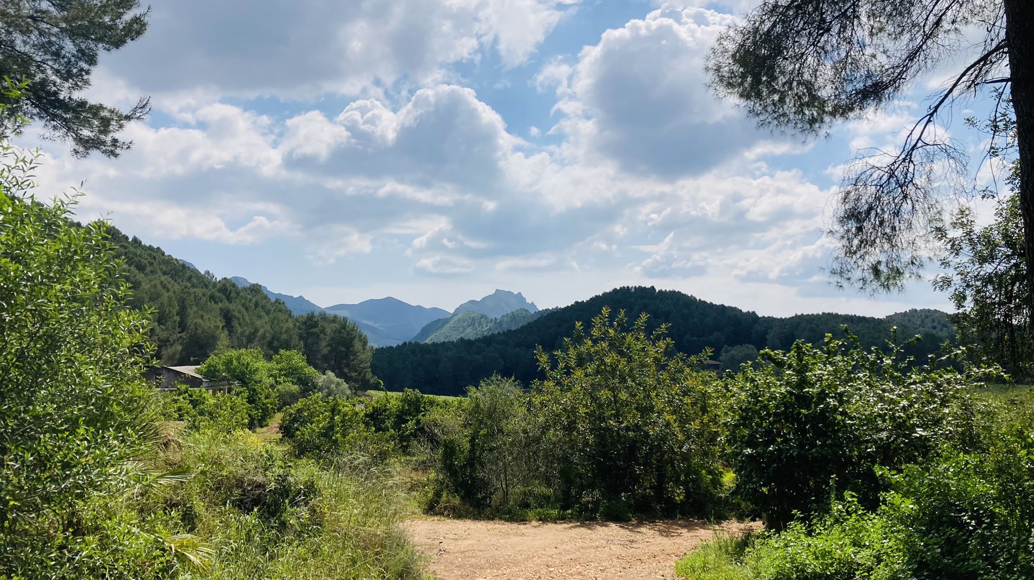 Serra de les Agulles