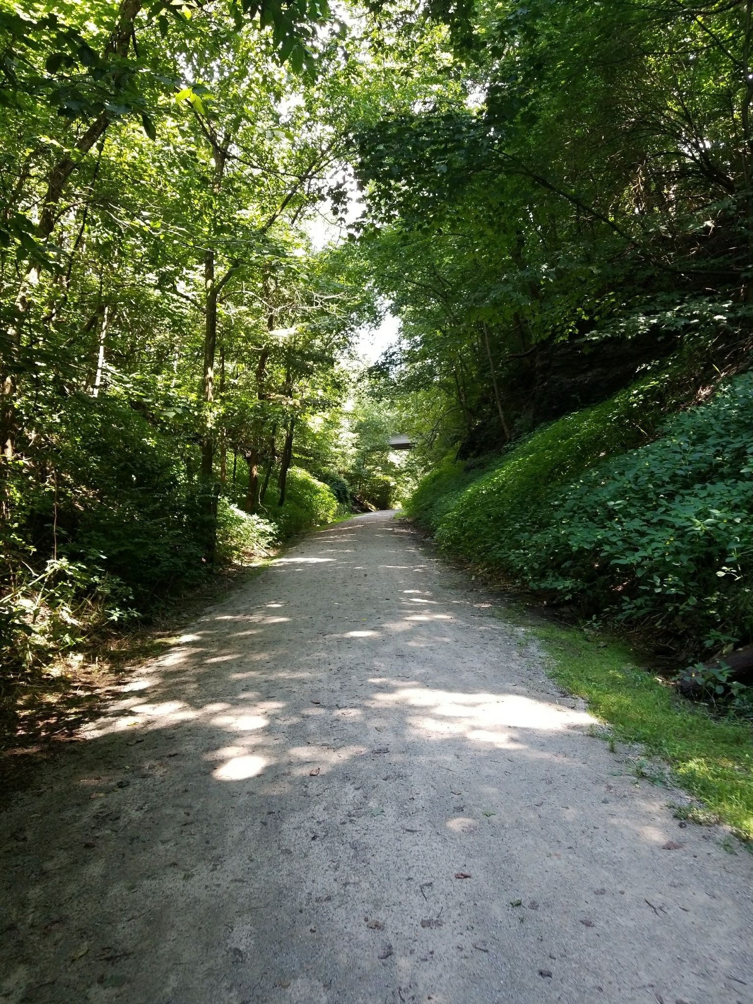 A shaded dirt path winding through a dense green forest on a sunny day. - Montour Trail Trailhead loop from Logan