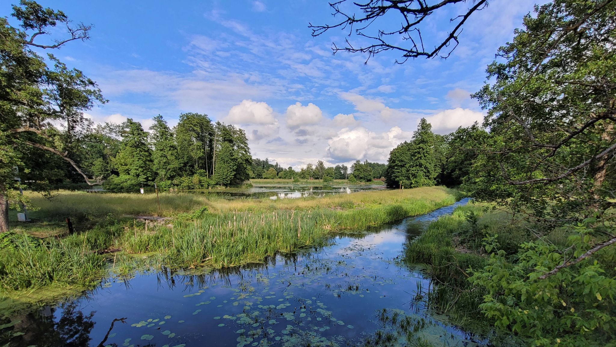 Widok na stawy i rzekę Narewka w Parku Pałacowym w Białowieży.