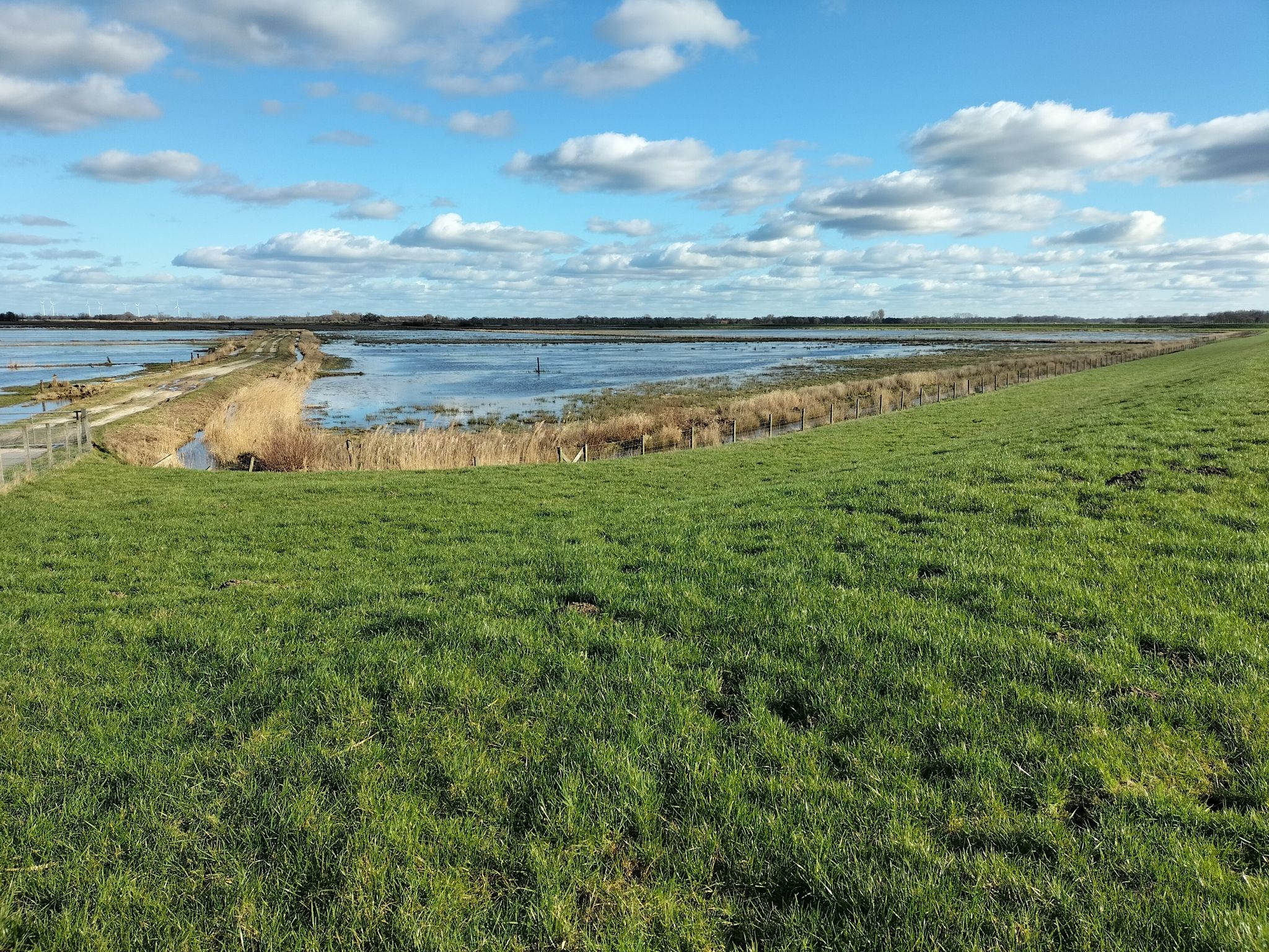 Polder Holter Hammrich