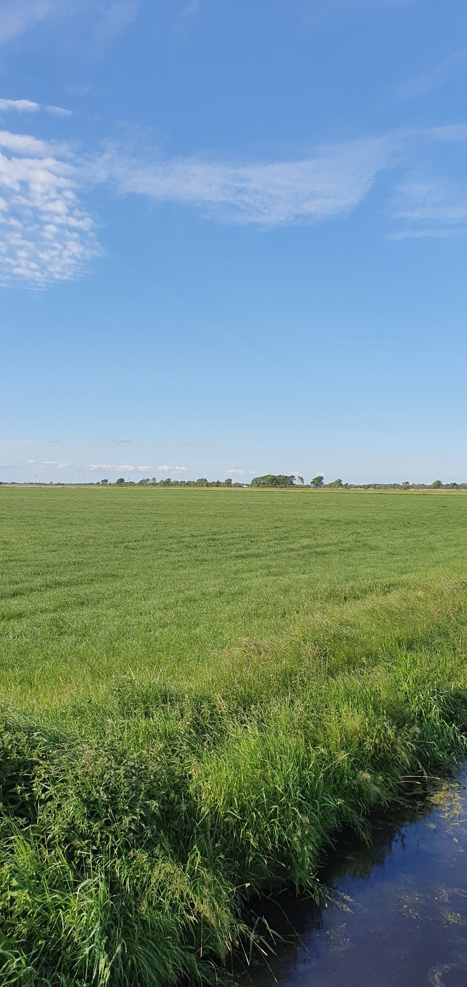 Vorbei an Kühen und einer tollen Landschaft