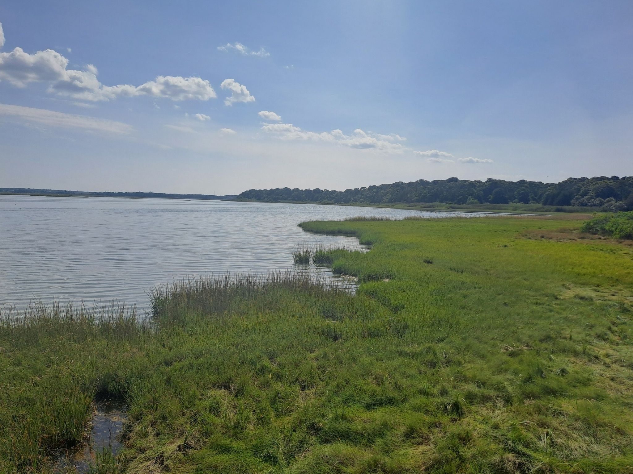 Calm water next to green marsh grass and distant trees under a cloudy sky. - Nauset Bicycle Trail