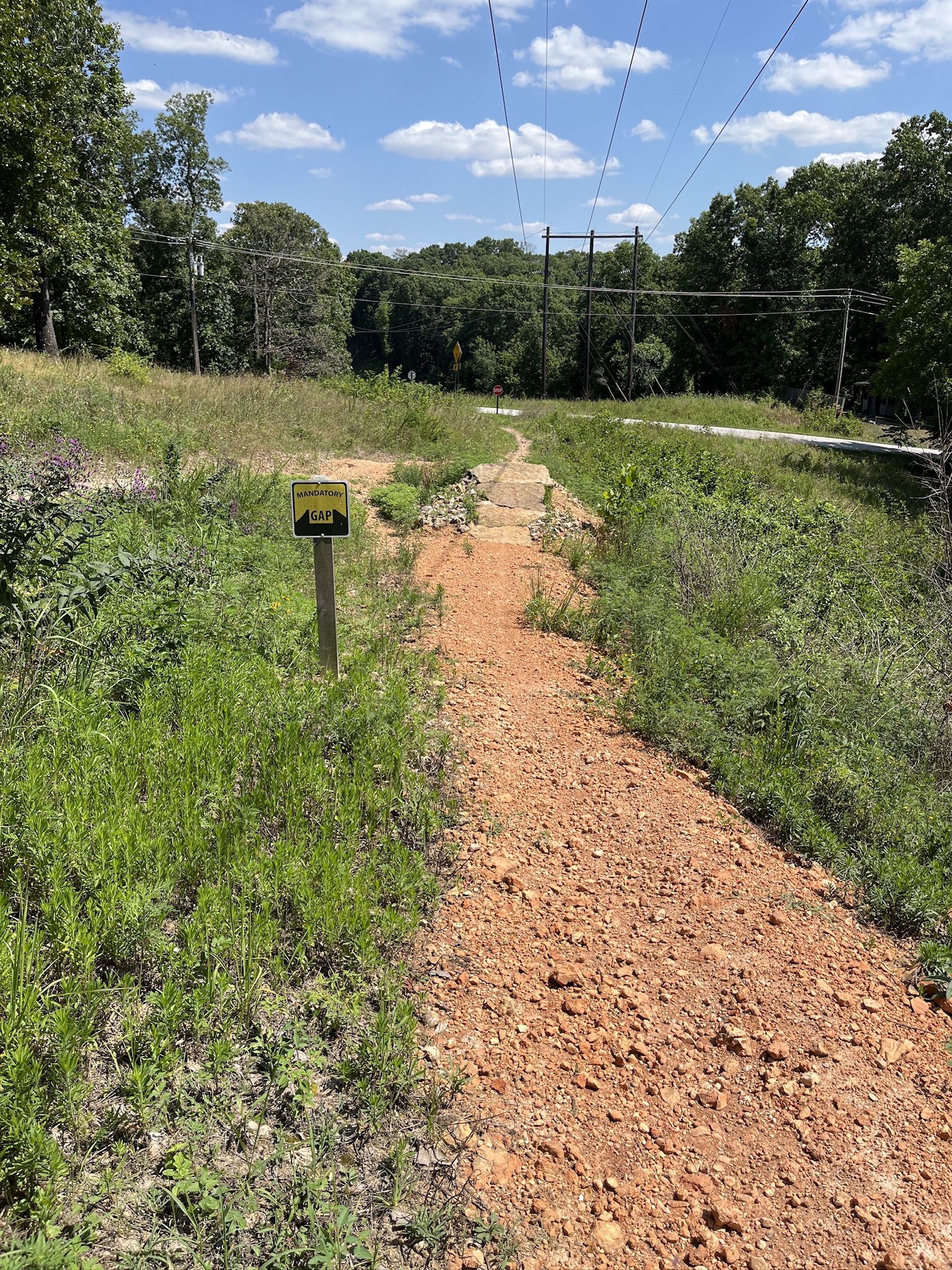 A narrow dirt path winds through a sunny, grassy field under power lines. - Tweety Bird Trail loop from Tweety Bird Trailhead