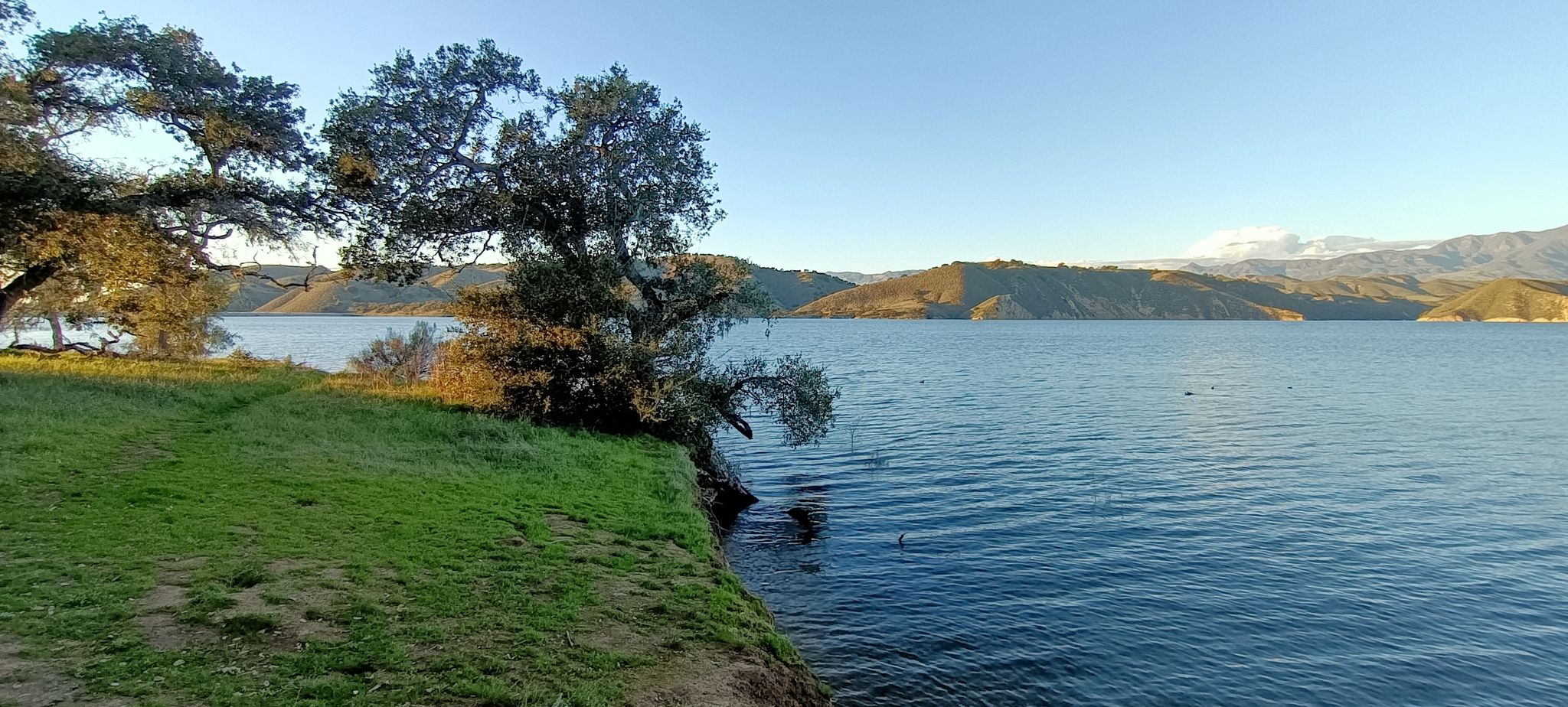 Sunny lake view with green bank, trees, and distant hills under blue sky. - Sweetwater Trail to Cachuma Lake Overlook